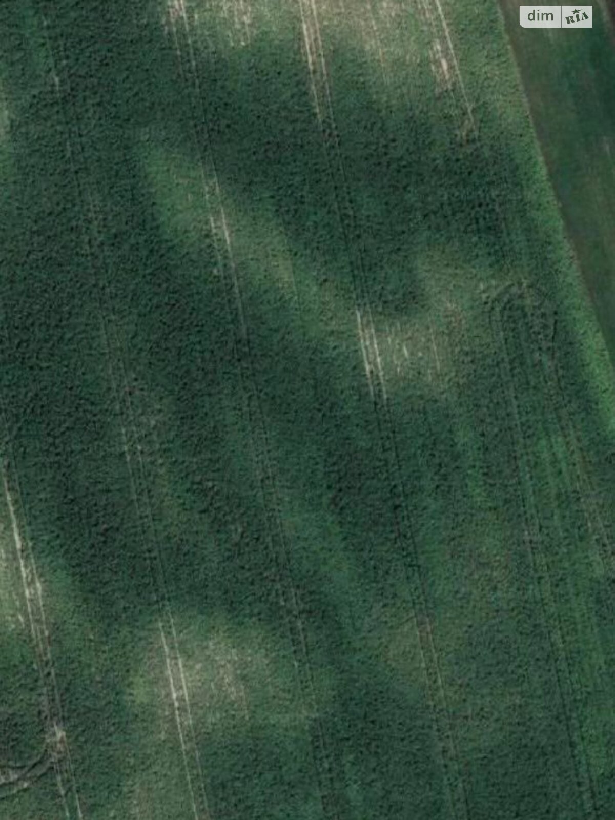 Земельный участок сельскохозяйственного назначения в Обарове, площадь 3.1684 Га фото 1