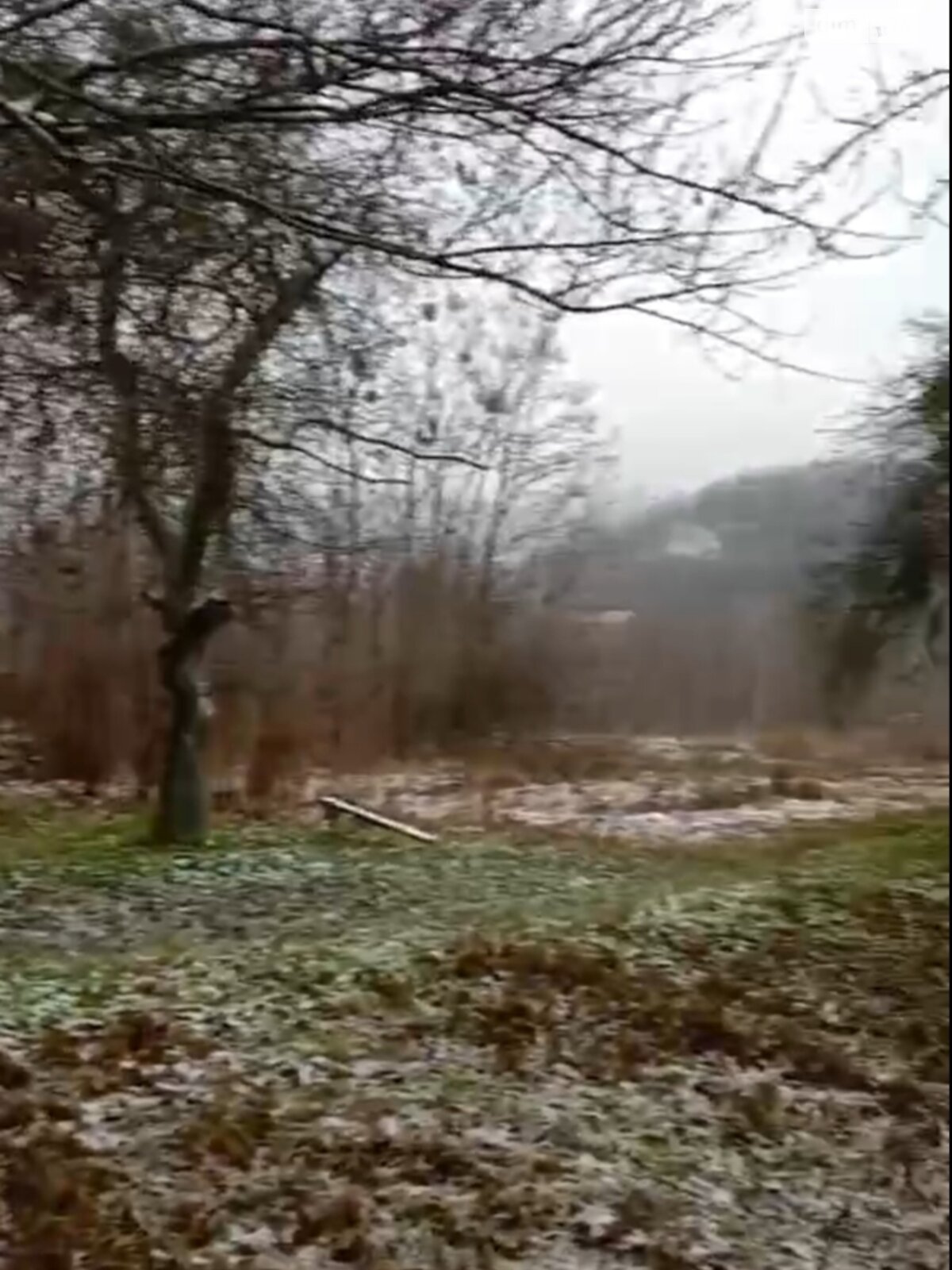 Земельный участок сельскохозяйственного назначения в Обухове, площадь 46 соток фото 1 Земельный участок сельскохозяйственного назначения в Обухове, площадь 46 соток фото 1