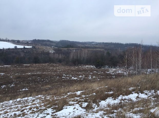 Продажа земли сельскохозяйственного назначения, Киевская, Обухов, c. Подгорцы Продажа земли сельскохозяйственного назначения, Киевская, Обухов, c. Подгорцы