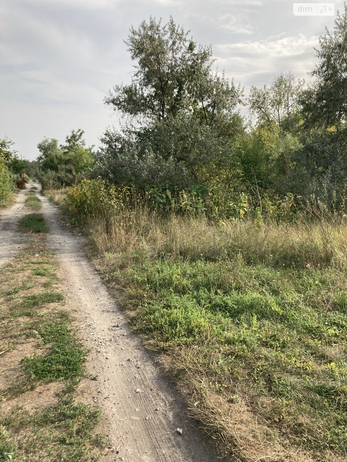 Земельна ділянка сільськогосподарського призначення в Обухівці, площа 12 соток фото 1