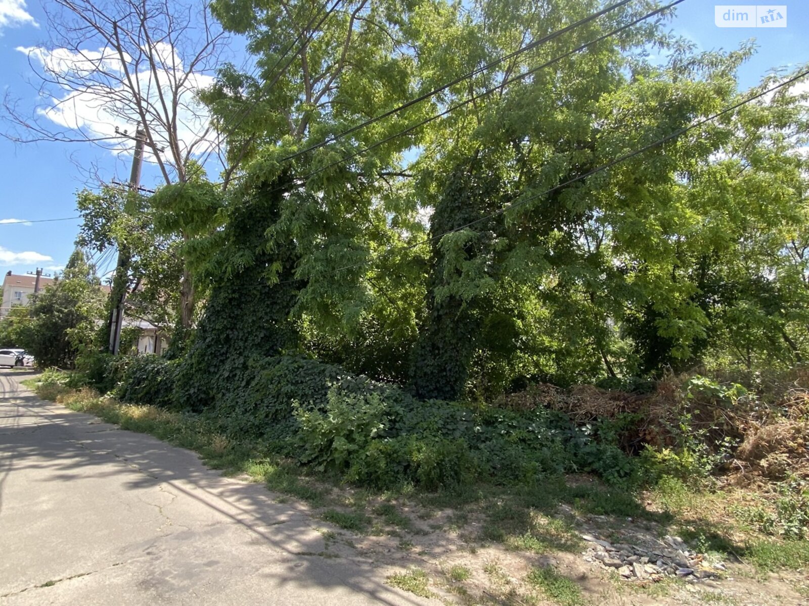 Земля сельскохозяйственного назначения в Одессе, район Большой Фонтан, площадь 6 соток фото 1