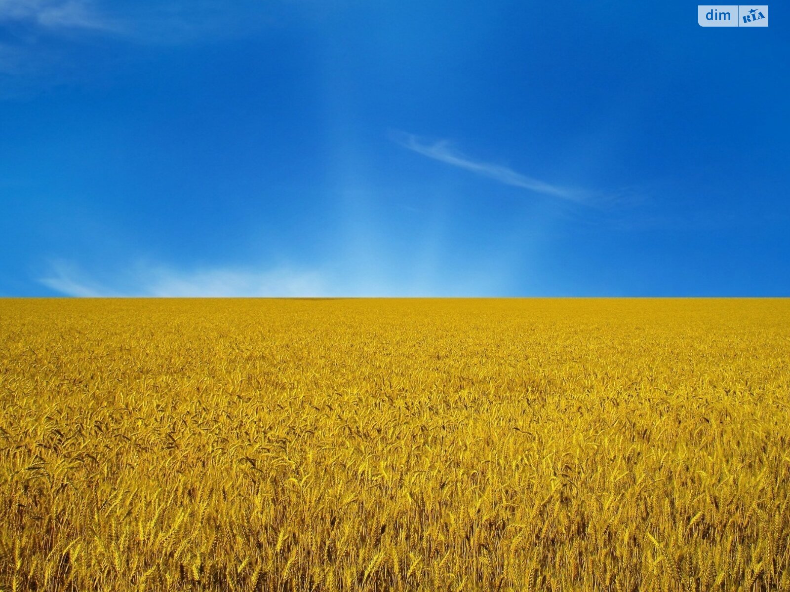 Земля сільськогосподарського призначення в Одесі, район Бугаївка, площа 20 Га фото 1 Земля сільськогосподарського призначення в Одесі, район Бугаївка, площа 20 Га фото 1