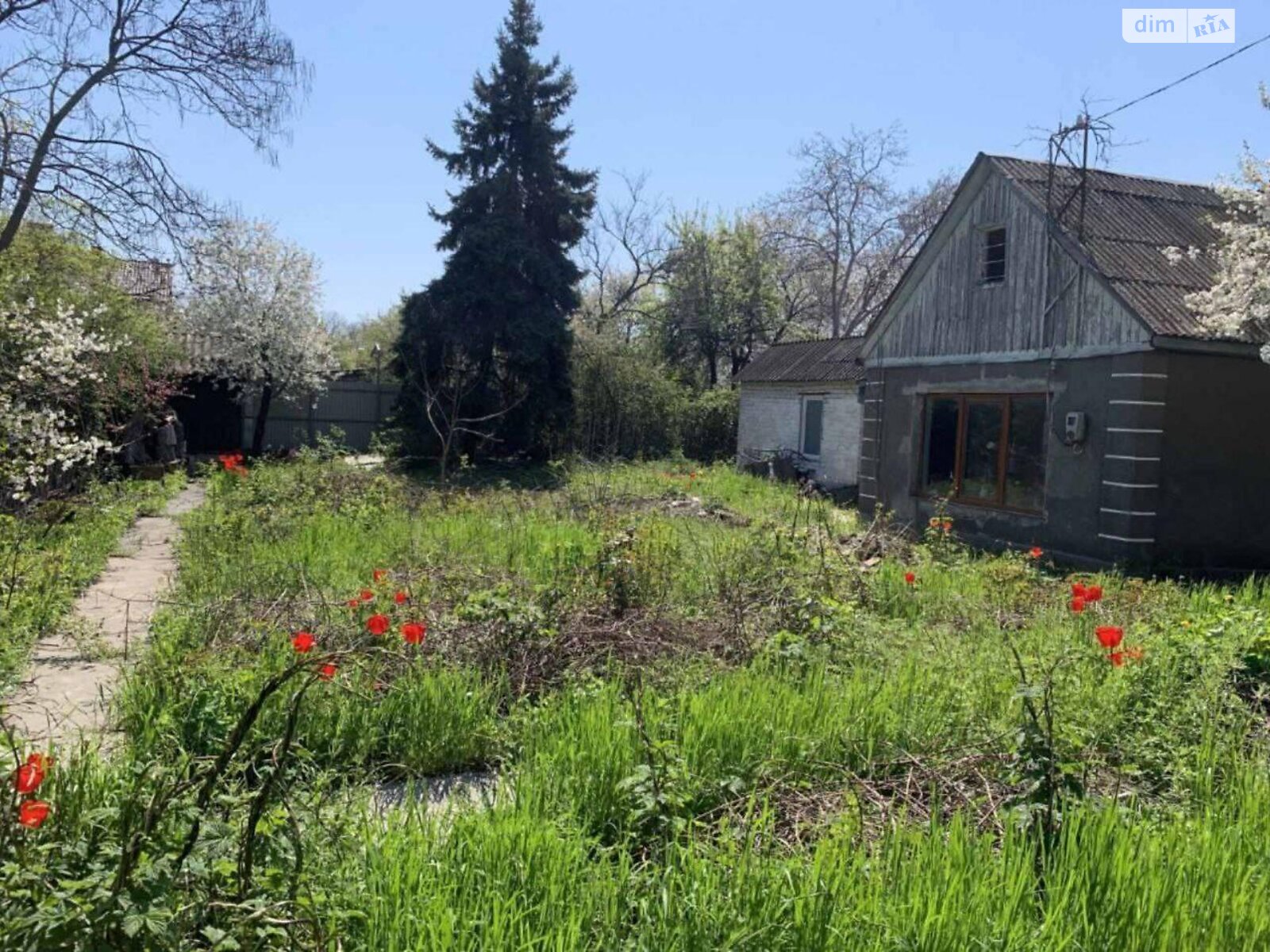 Земля сільськогосподарського призначення в Одесі, район Київський, площа 4 сотки фото 1 Земля сільськогосподарського призначення в Одесі, район Київський, площа 4 сотки фото 1