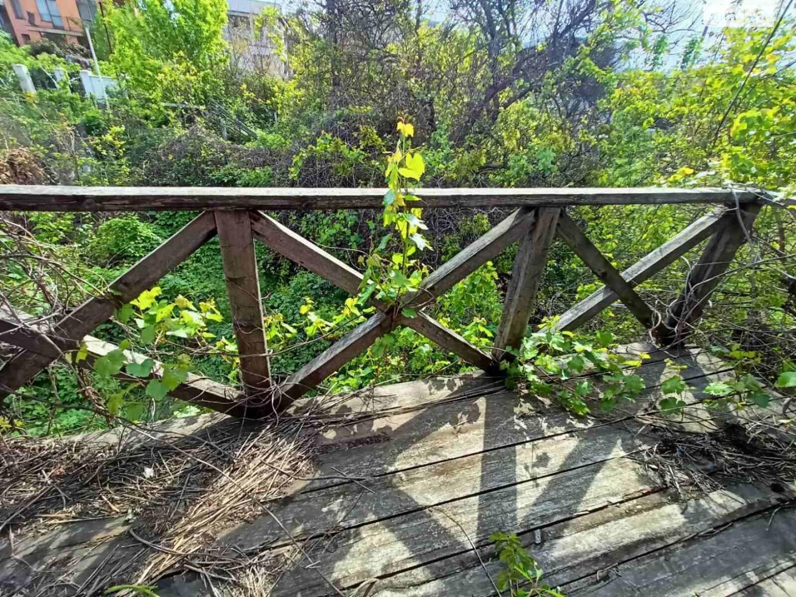 Земля сельскохозяйственного назначения в Одессе, район Киевский, площадь 6 соток фото 1 Земля сельскохозяйственного назначения в Одессе, район Киевский, площадь 6 соток фото 1