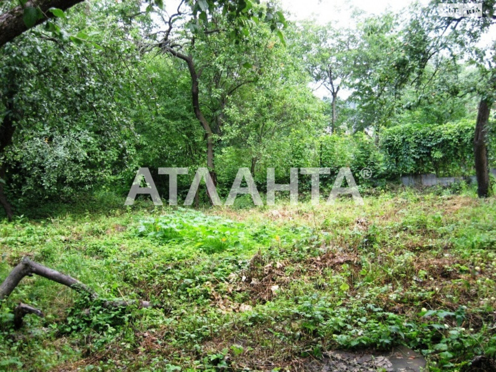 Земля сельскохозяйственного назначения в Одессе, район Киевский, площадь 6.5 сотки фото 1 Земля сельскохозяйственного назначения в Одессе, район Киевский, площадь 6.5 сотки фото 1