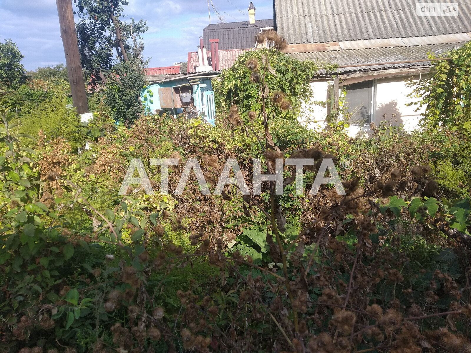 Земля сельскохозяйственного назначения в Одессе, район Киевский, площадь 6.5 сотки фото 1 Земля сельскохозяйственного назначения в Одессе, район Киевский, площадь 6.5 сотки фото 1