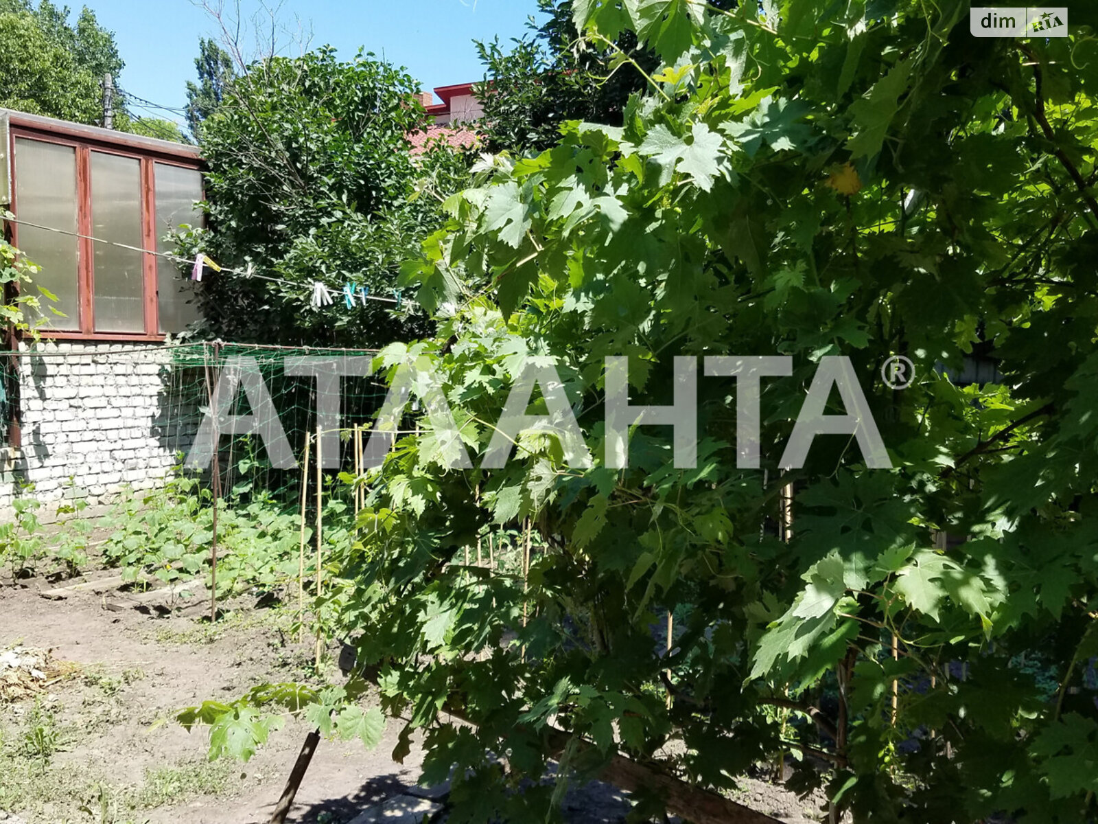 Земля сельскохозяйственного назначения в Одессе, район Киевский, площадь 6.5 сотки фото 1 Земля сельскохозяйственного назначения в Одессе, район Киевский, площадь 6.5 сотки фото 1