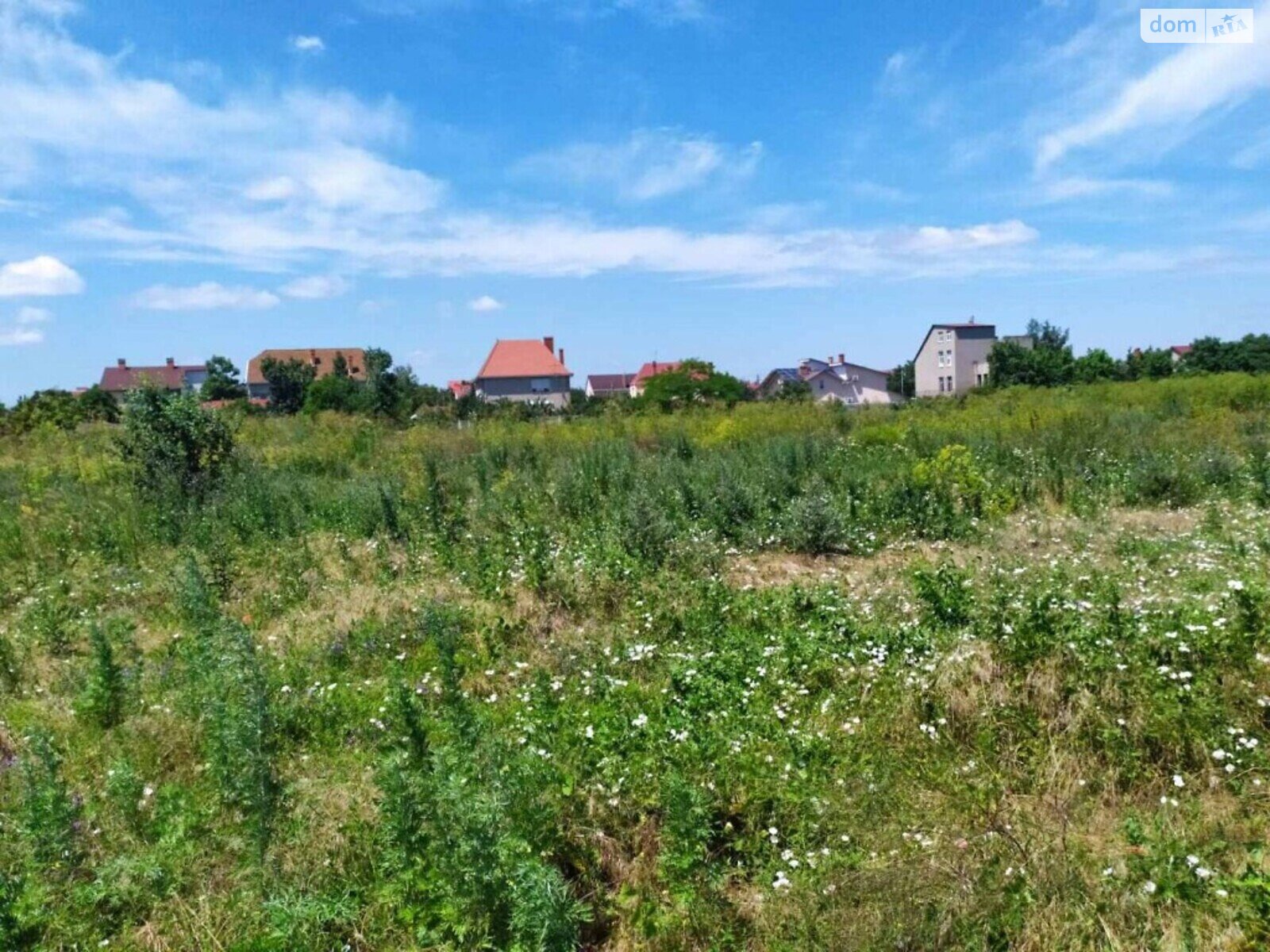 Земля сельскохозяйственного назначения в Одессе, район Совиньон, площадь 80 соток фото 1