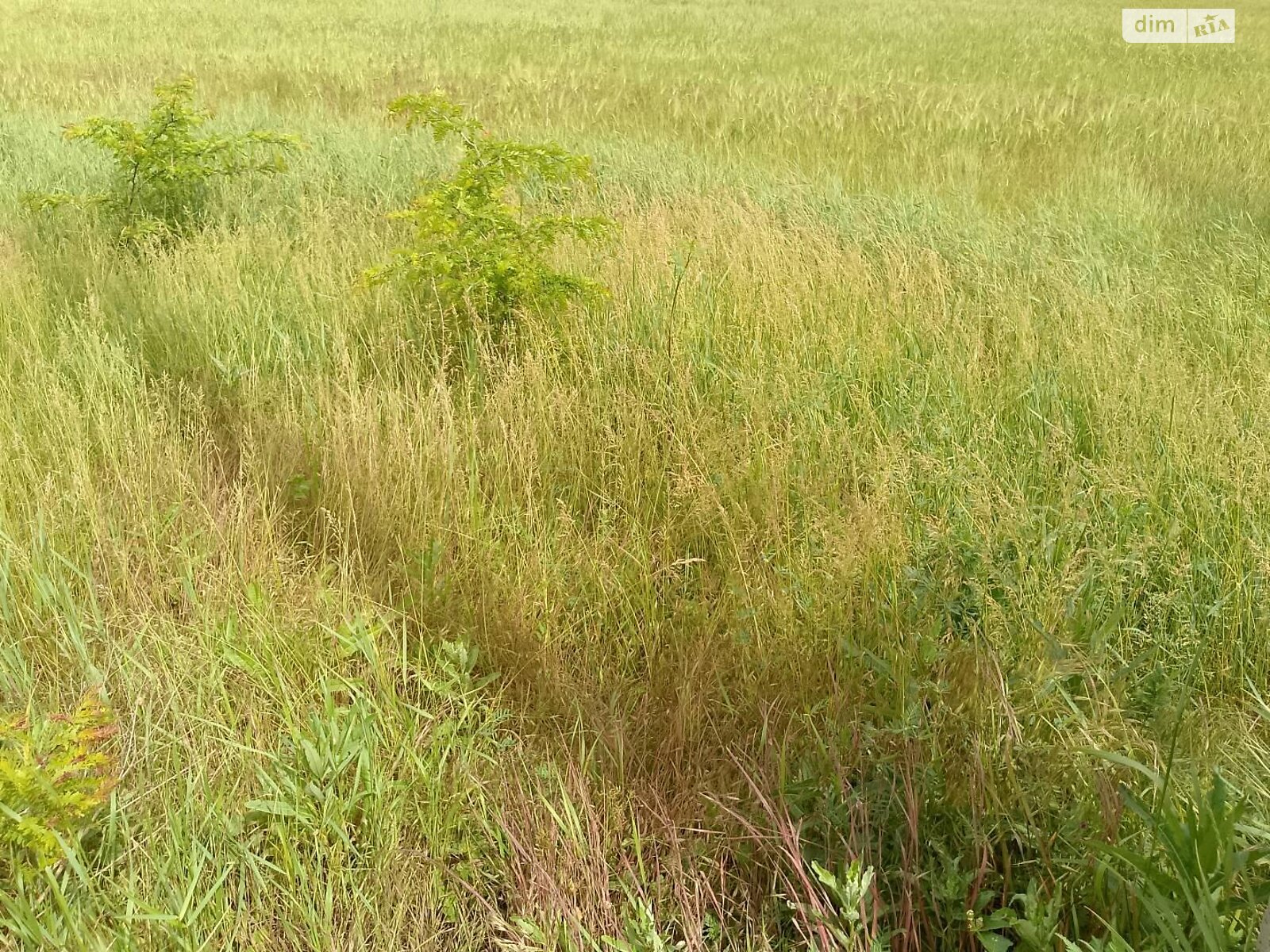 Земля сільськогосподарського призначення в Одесі, район Таїрова, площа 119.11 сотки фото 1 Земля сільськогосподарського призначення в Одесі, район Таїрова, площа 119.11 сотки фото 1