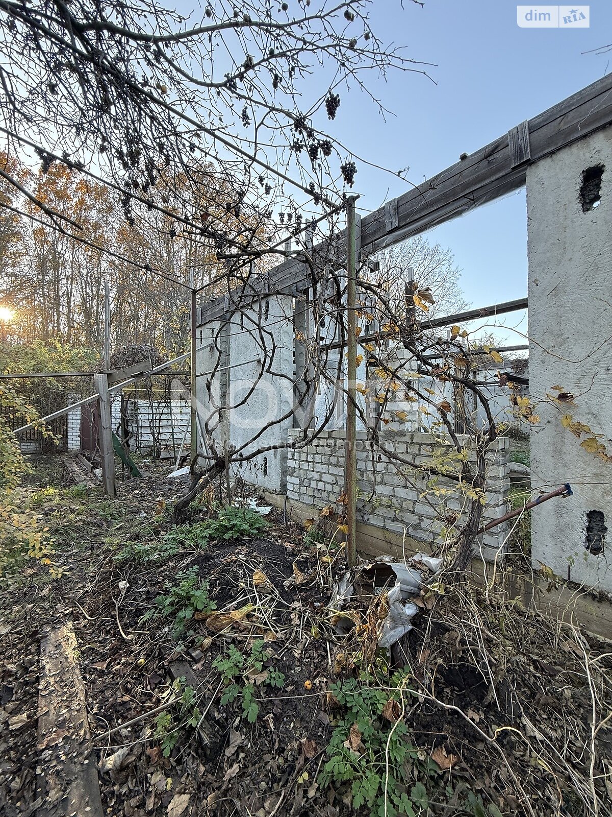 Земля сельскохозяйственного назначения в Одессе, район Царское Село, площадь 4.1 сотки фото 1 Земля сельскохозяйственного назначения в Одессе, район Царское Село, площадь 4.1 сотки фото 1