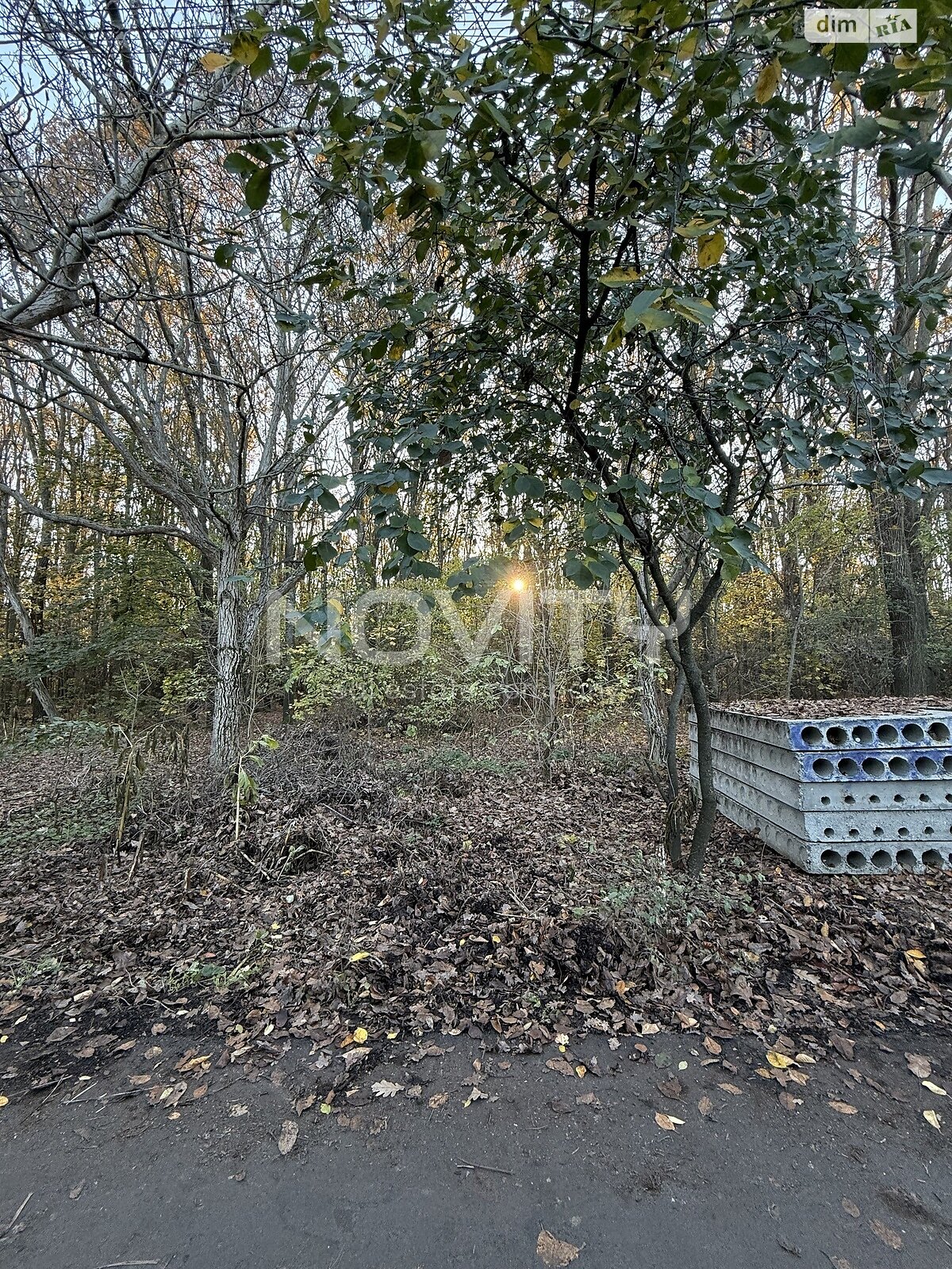 Земля сельскохозяйственного назначения в Одессе, район Царское Село, площадь 4.1 сотки фото 1 Земля сельскохозяйственного назначения в Одессе, район Царское Село, площадь 4.1 сотки фото 1