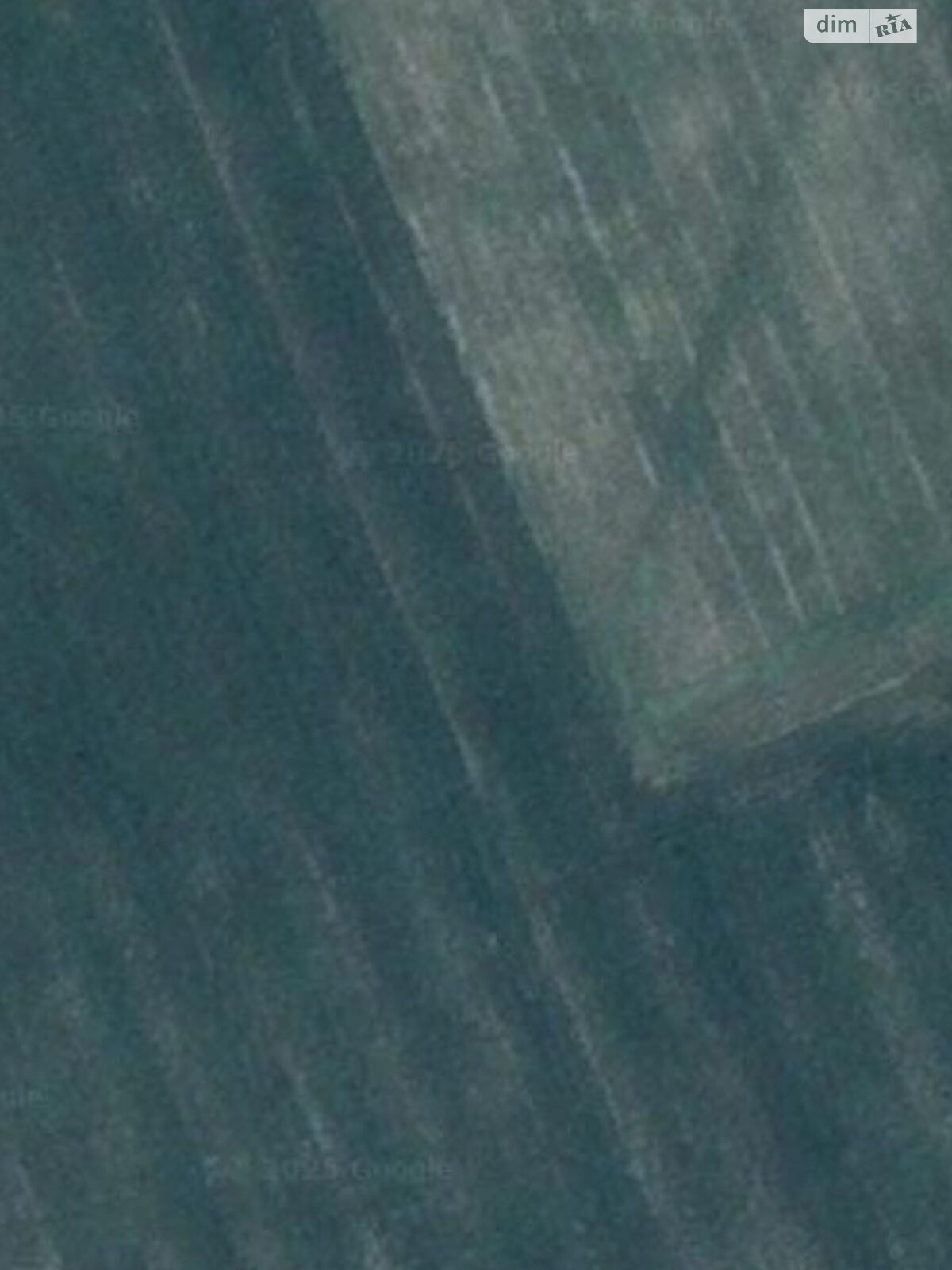 Земельный участок сельскохозяйственного назначения в Ожево, площадь 0.9303 Га фото 1 Земельный участок сельскохозяйственного назначения в Ожево, площадь 0.9303 Га фото 1