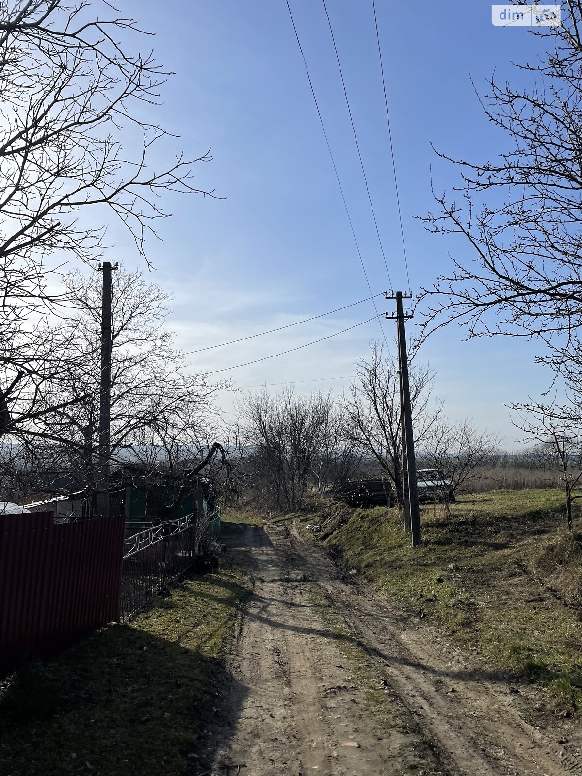 Земельный участок сельскохозяйственного назначения в Олешине, площадь 20 соток фото 1