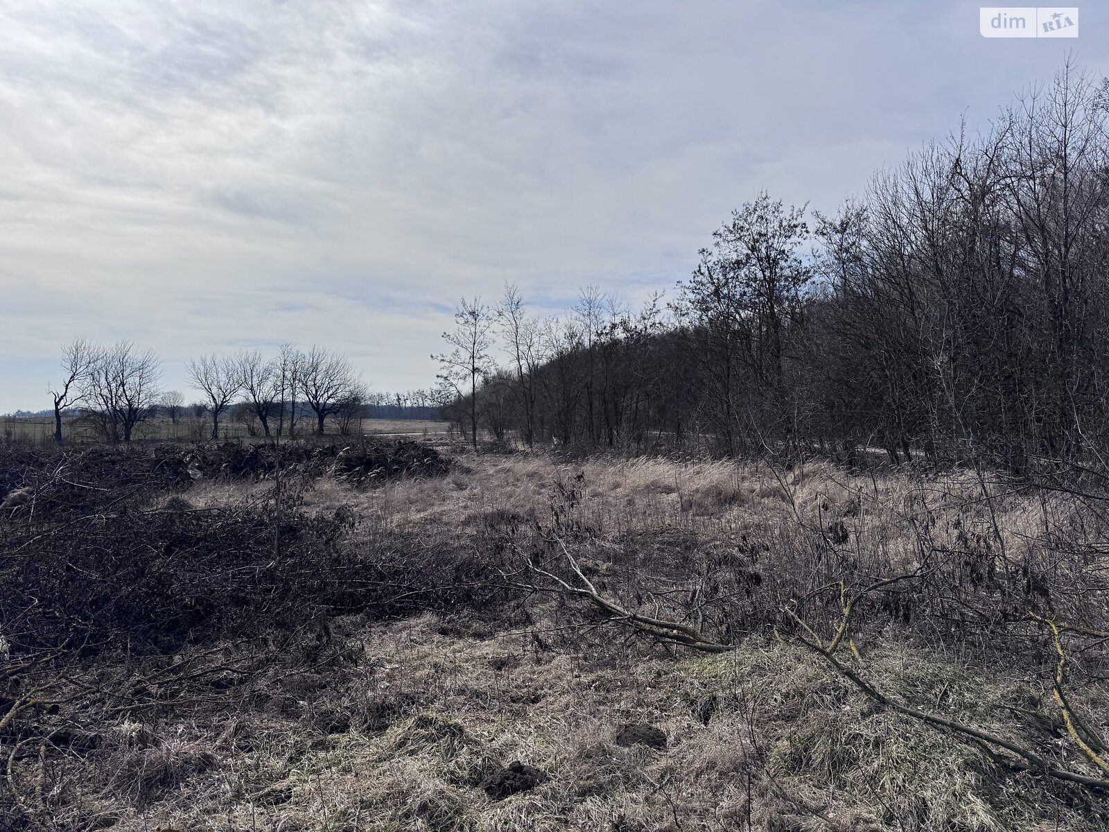 Земельна ділянка сільськогосподарського призначення в Олешині, площа 12 соток фото 1