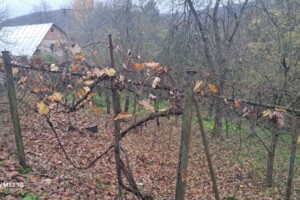 Земельна ділянка сільськогосподарського призначення в Оноківцях, площа 4.8 сотки фото 2