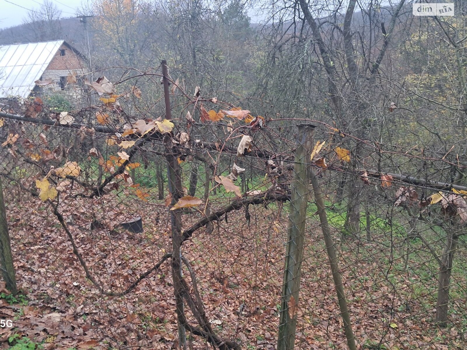 Земельна ділянка сільськогосподарського призначення в Оноківцях, площа 4.8 сотки фото 1