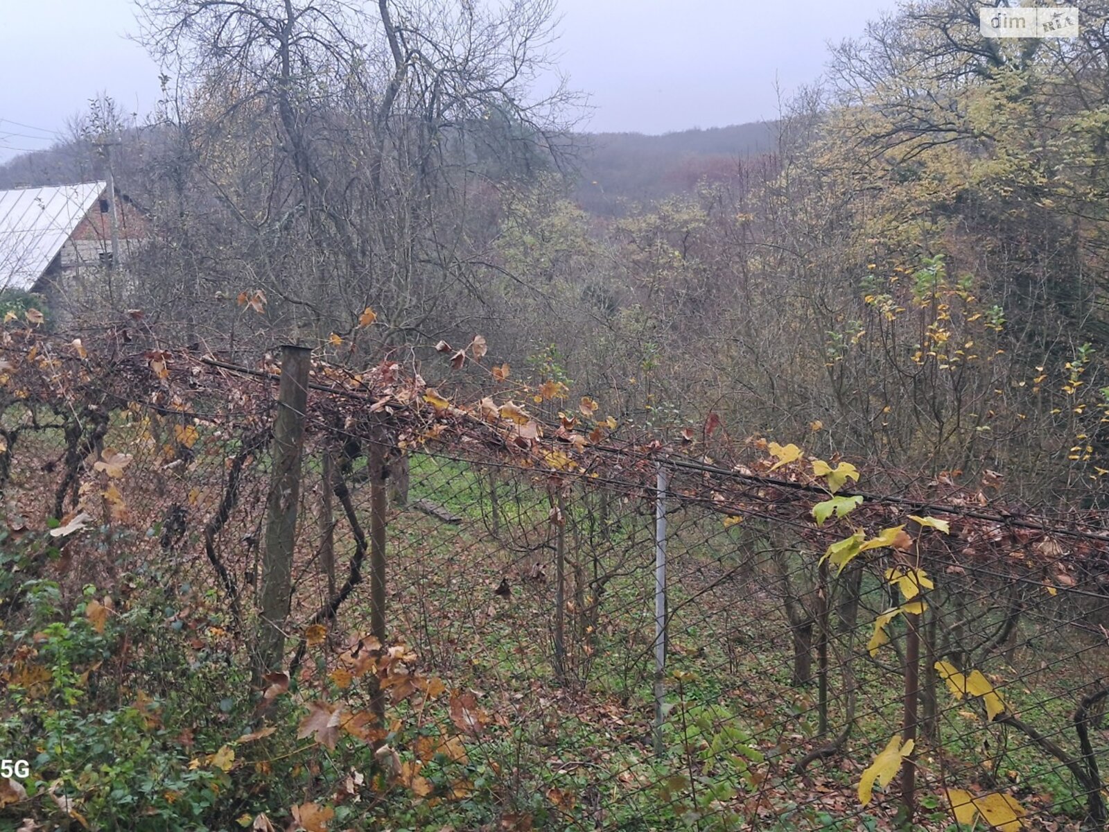 Земельна ділянка сільськогосподарського призначення в Оноківцях, площа 4.8 сотки фото 1