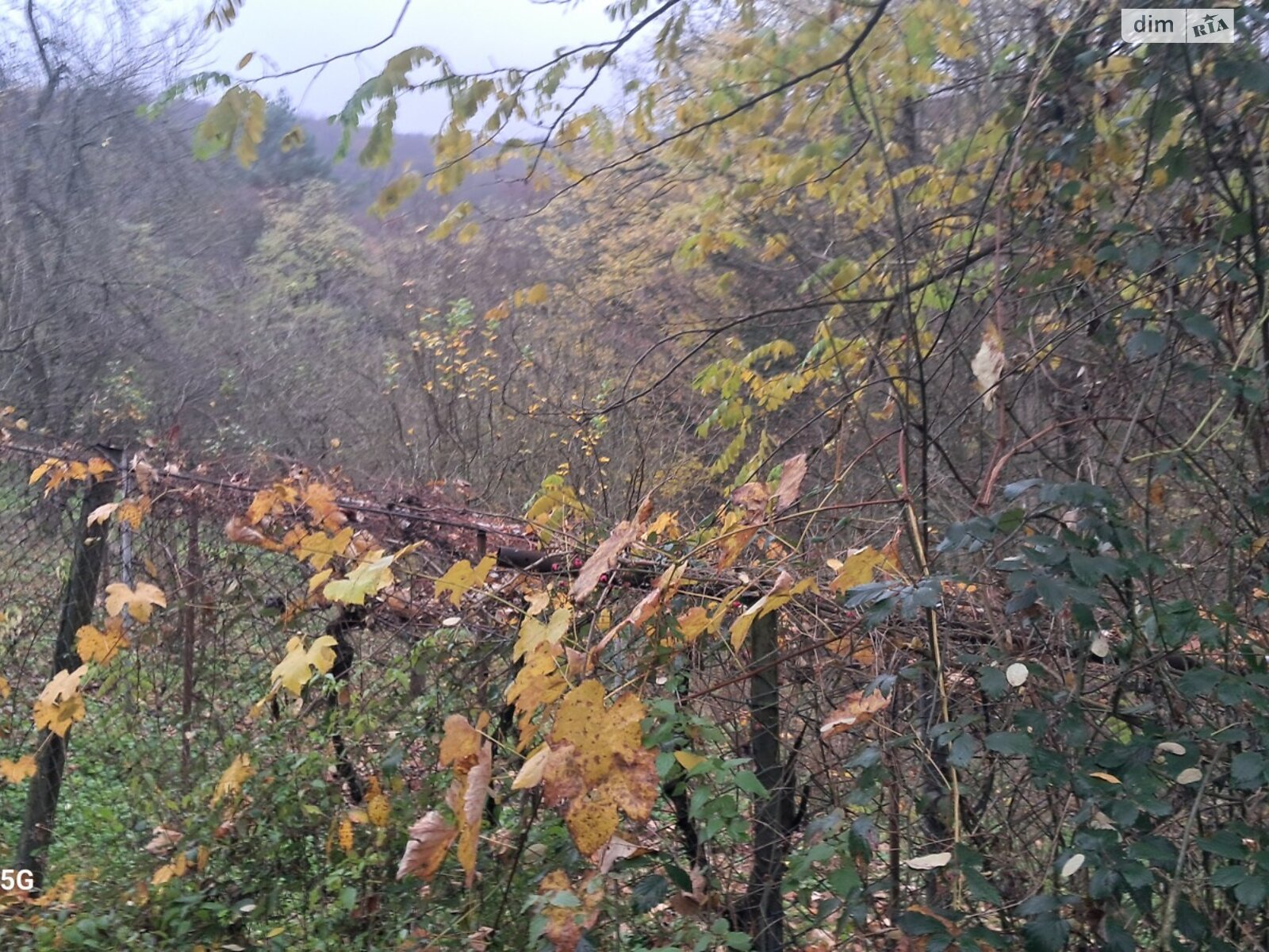Земельна ділянка сільськогосподарського призначення в Оноківцях, площа 4.8 сотки фото 1