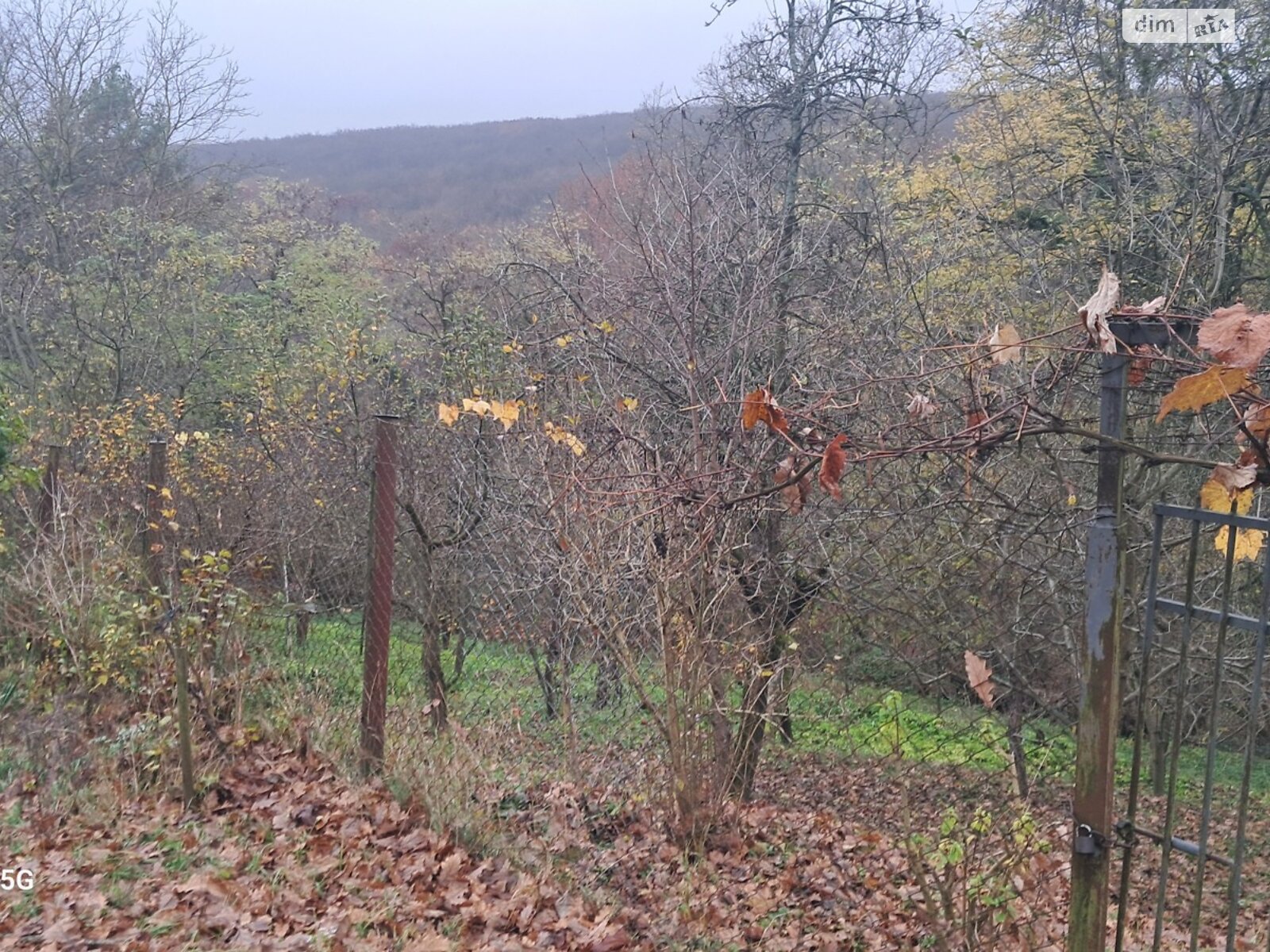 Земельна ділянка сільськогосподарського призначення в Оноківцях, площа 4.8 сотки фото 1