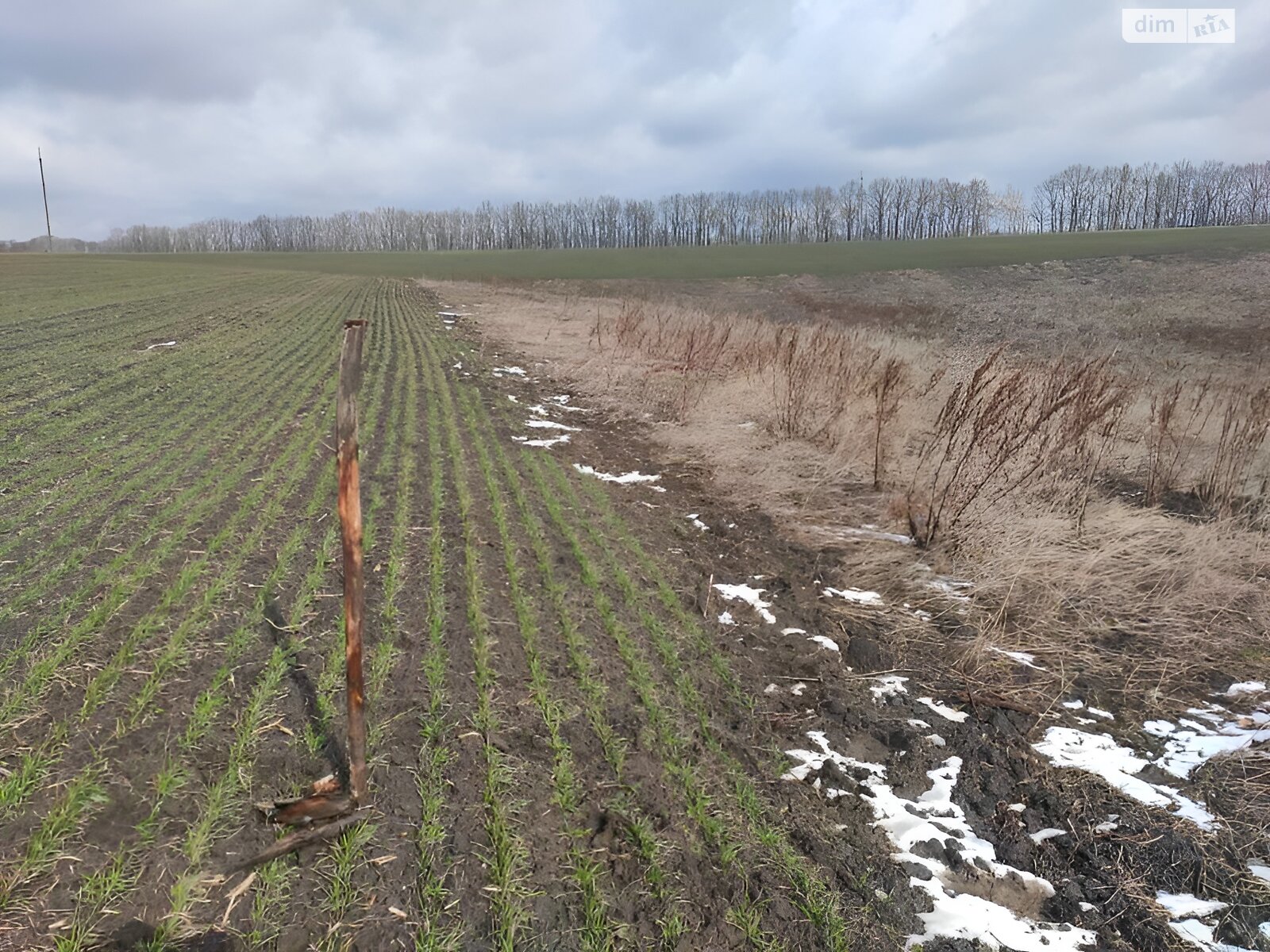 Земля сільськогосподарського призначення в Оратові, район Оратів, площа 14 Га фото 1