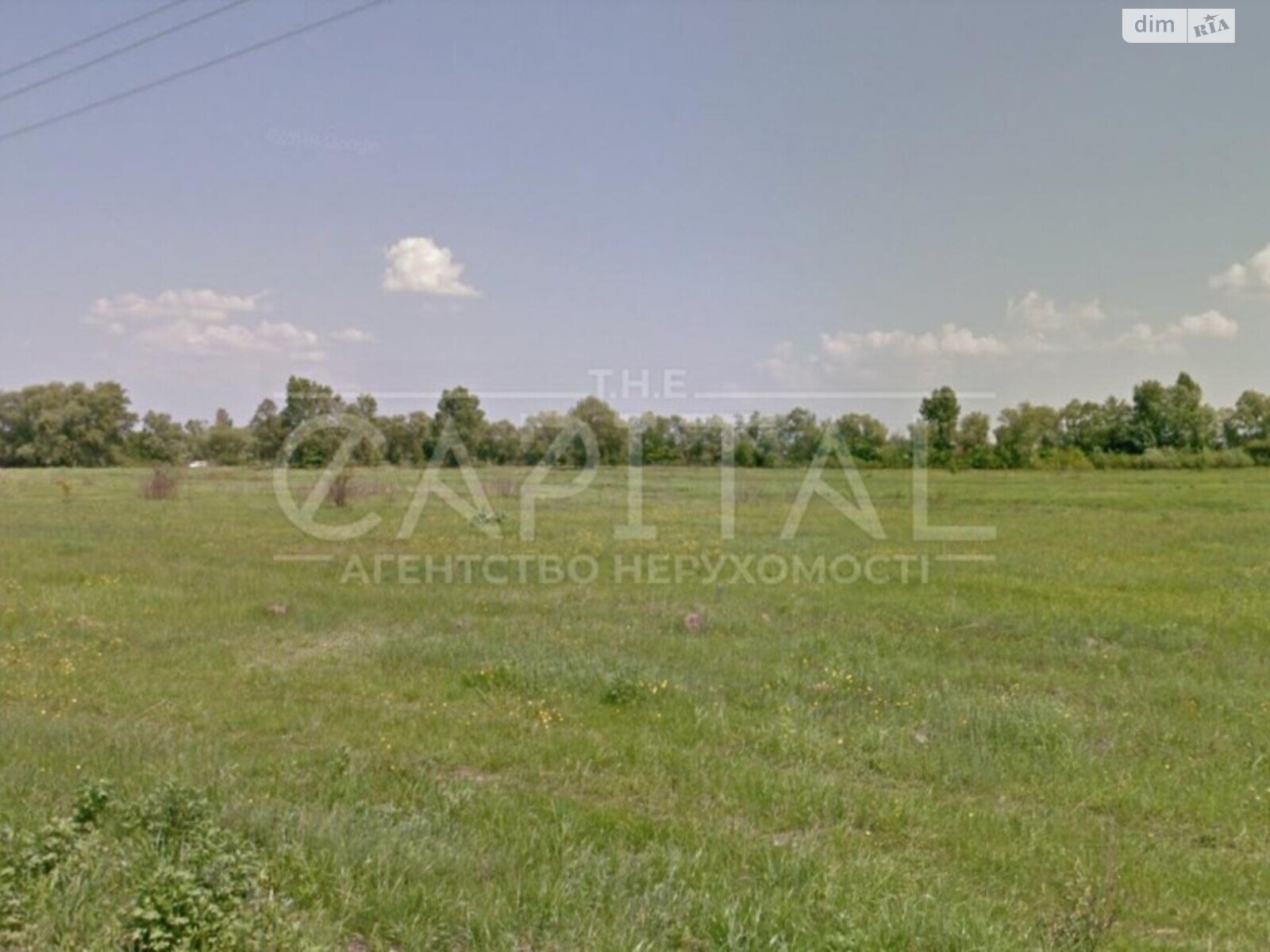 Земельный участок сельскохозяйственного назначения в Осещине, площадь 455 соток фото 1