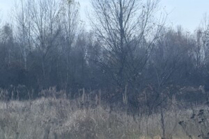 Земельный участок сельскохозяйственного назначения в Осещине, площадь 10 соток фото 2 Земельный участок сельскохозяйственного назначения в Осещине, площадь 10 соток фото 2