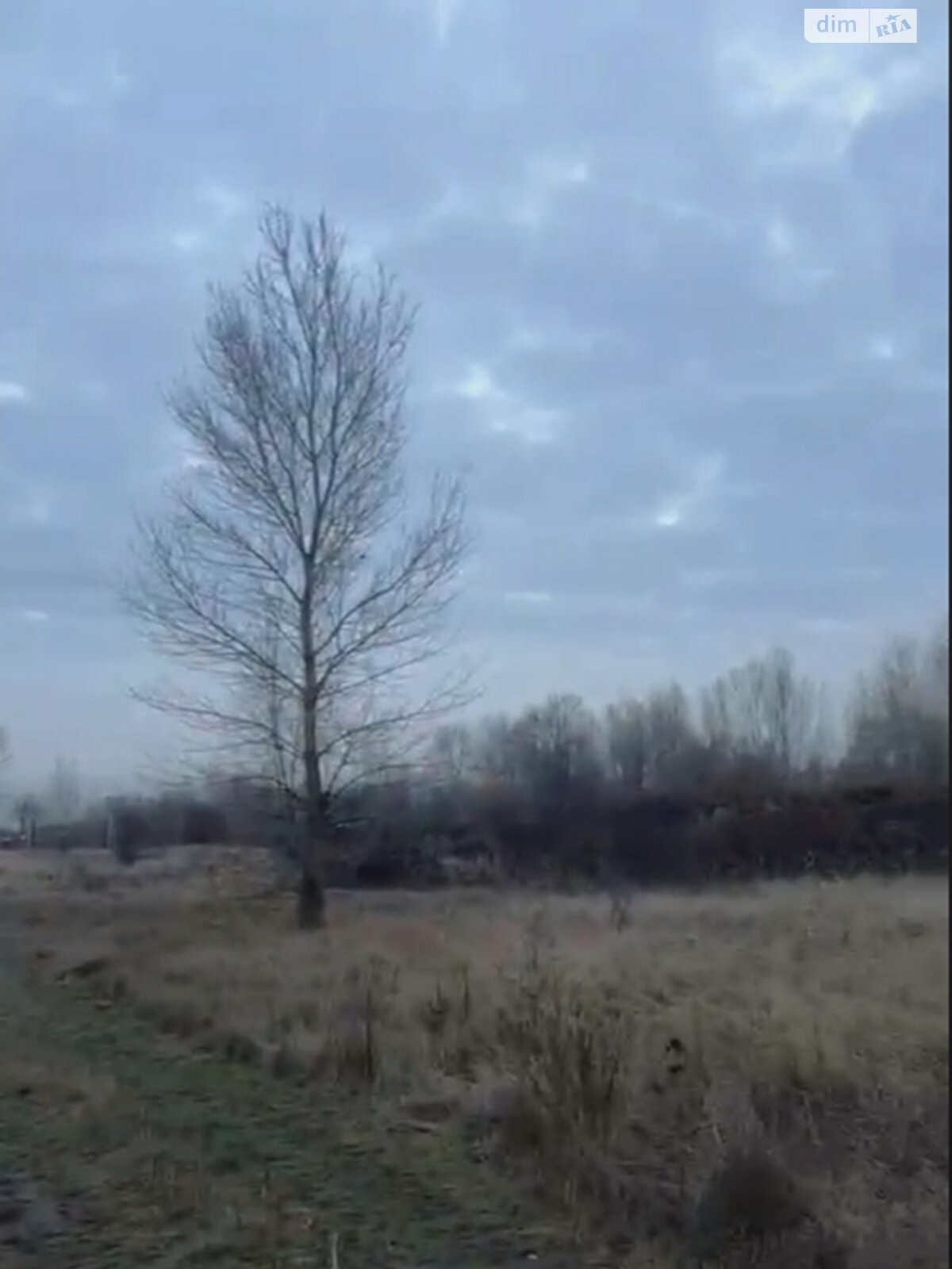 Земельный участок сельскохозяйственного назначения в Осещине, площадь 10 соток фото 1 Земельный участок сельскохозяйственного назначения в Осещине, площадь 10 соток фото 1