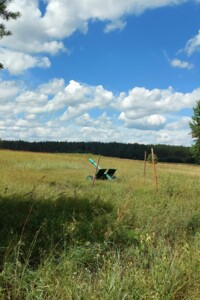 Земельный участок сельскохозяйственного назначения в Остре, площадь 6.4185 Га фото 2 Земельный участок сельскохозяйственного назначения в Остре, площадь 6.4185 Га фото 2