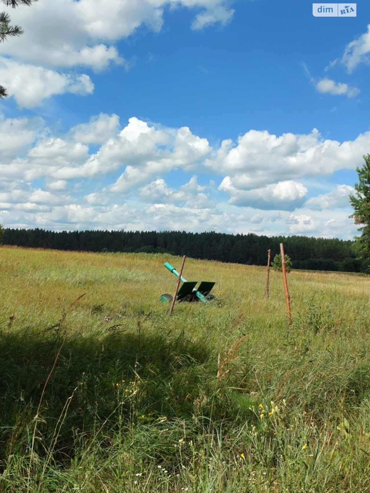 Земельный участок сельскохозяйственного назначения в Остре, площадь 6.4185 Га фото 1 Земельный участок сельскохозяйственного назначения в Остре, площадь 6.4185 Га фото 1