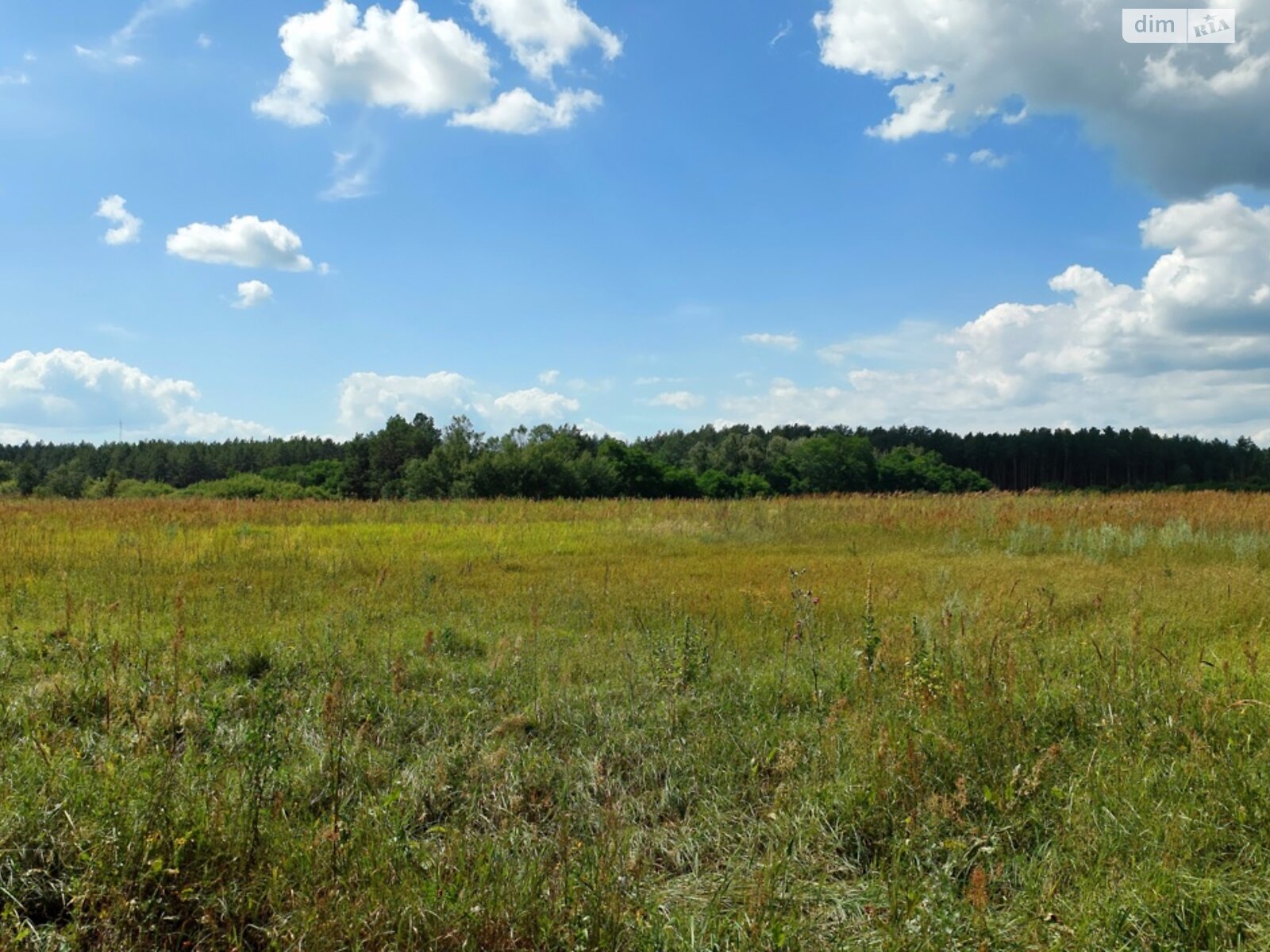 Земельный участок сельскохозяйственного назначения в Остре, площадь 6.4185 Га фото 1 Земельный участок сельскохозяйственного назначения в Остре, площадь 6.4185 Га фото 1