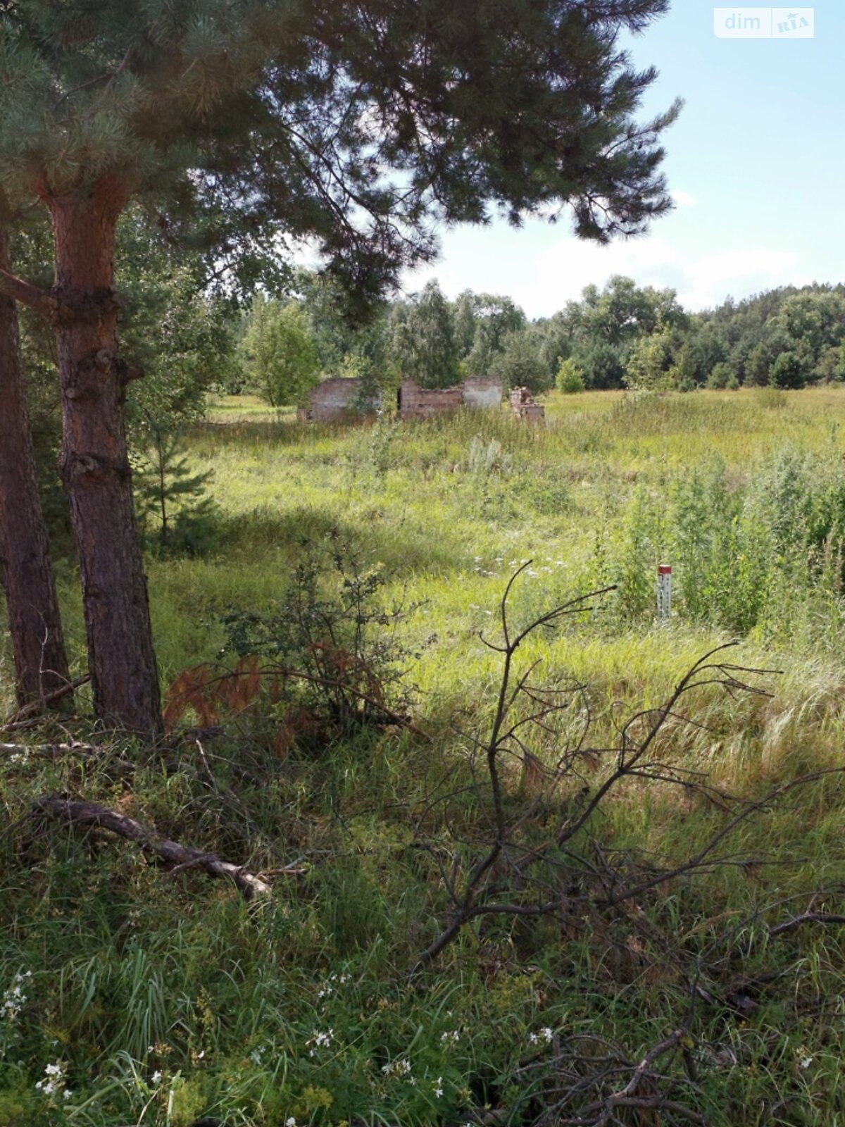 Земельный участок сельскохозяйственного назначения в Остре, площадь 6.4185 Га фото 1 Земельный участок сельскохозяйственного назначения в Остре, площадь 6.4185 Га фото 1