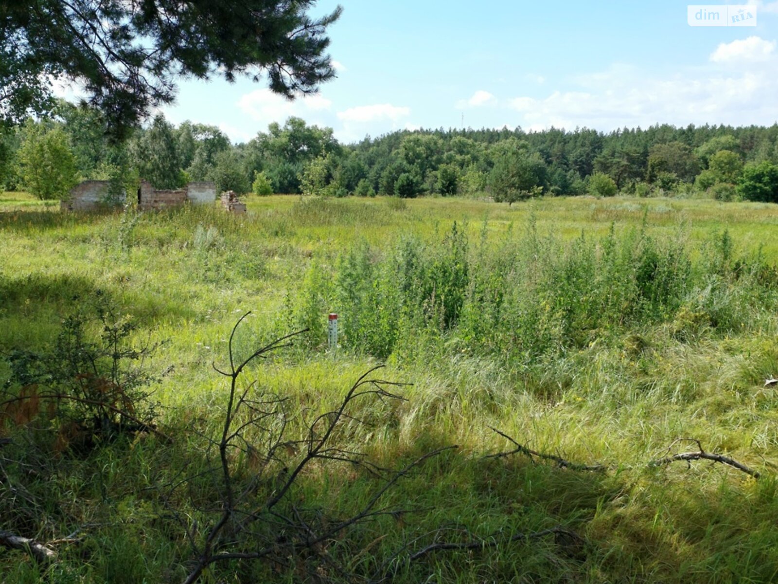 Земельный участок сельскохозяйственного назначения в Остре, площадь 6.4185 Га фото 1 Земельный участок сельскохозяйственного назначения в Остре, площадь 6.4185 Га фото 1