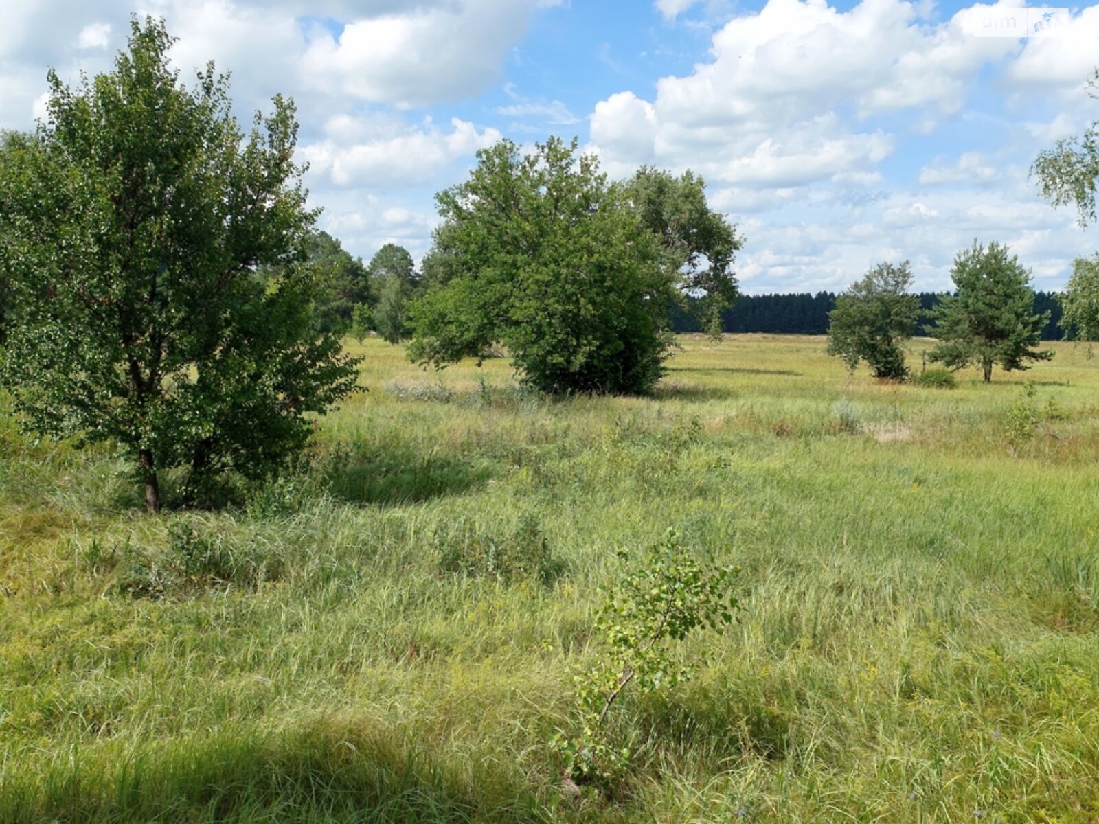 Земельный участок сельскохозяйственного назначения в Остре, площадь 6.4185 Га фото 1 Земельный участок сельскохозяйственного назначения в Остре, площадь 6.4185 Га фото 1