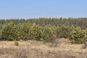 Земельна ділянка сільськогосподарського призначення в Осикове, площа 426.61 сотки фото 2