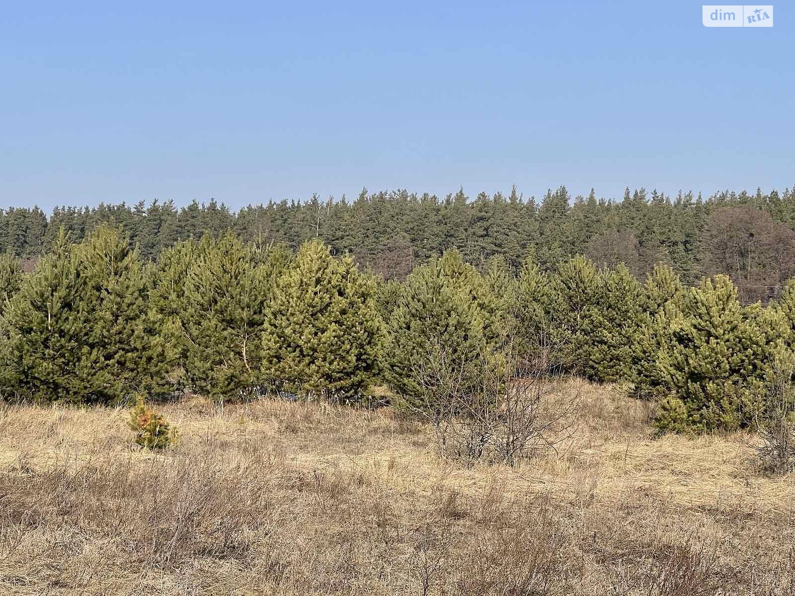 Земельна ділянка сільськогосподарського призначення в Осикове, площа 426.61 сотки фото 1 Земельна ділянка сільськогосподарського призначення в Осикове, площа 426.61 сотки фото 1