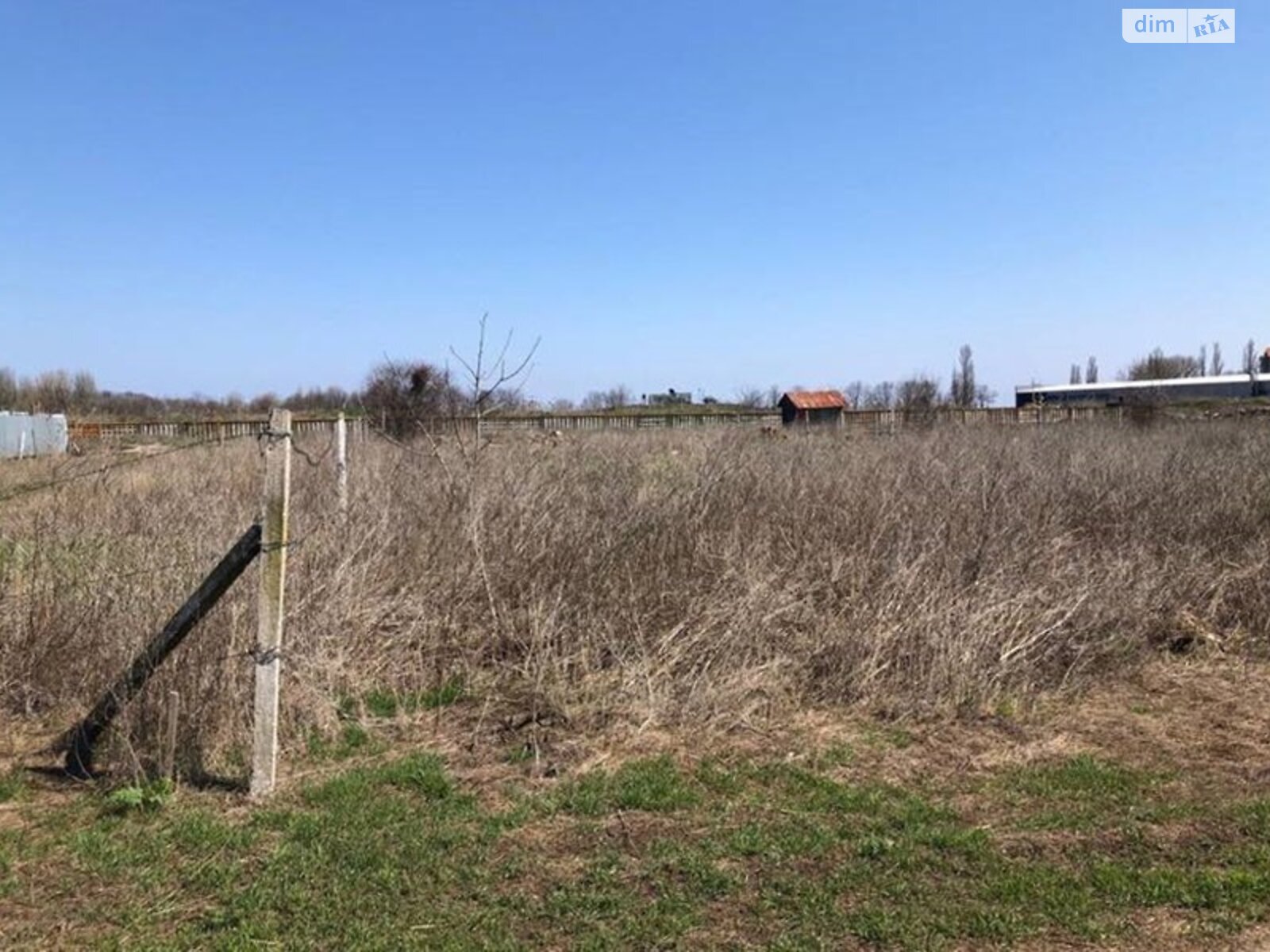 Земельна ділянка сільськогосподарського призначення в Лиманці, площа 12 соток фото 1