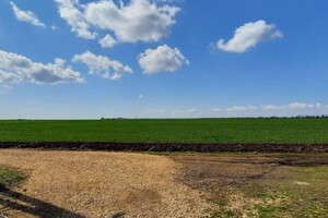 Земельна ділянка сільськогосподарського призначення в Роксоланах, площа 200 соток фото 2