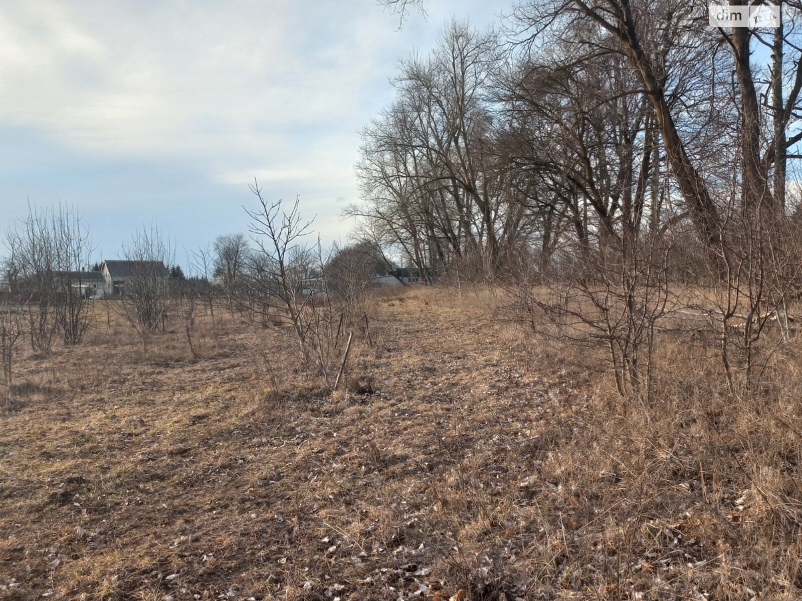 Земельна ділянка сільськогосподарського призначення в Озерній, площа 0.24 сотки фото 1 Земельна ділянка сільськогосподарського призначення в Озерній, площа 0.24 сотки фото 1