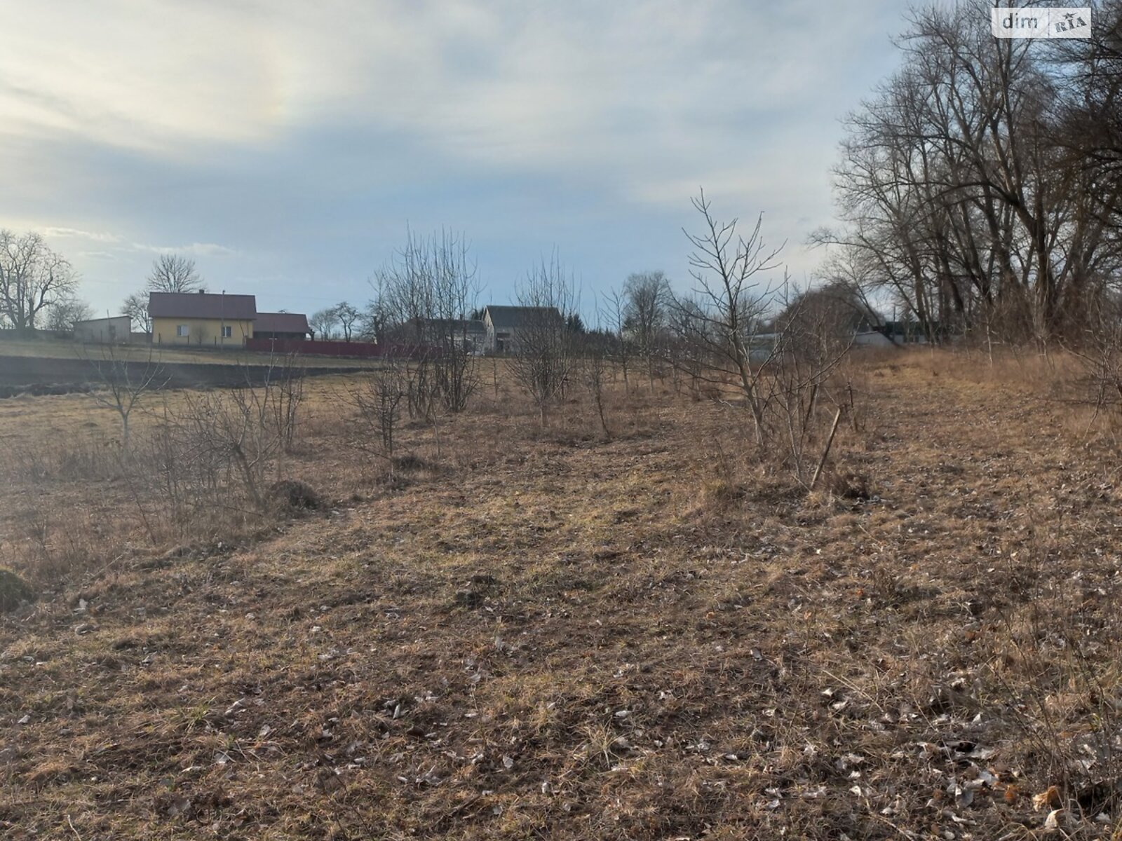 Земельна ділянка сільськогосподарського призначення в Озерній, площа 0.24 сотки фото 1 Земельна ділянка сільськогосподарського призначення в Озерній, площа 0.24 сотки фото 1