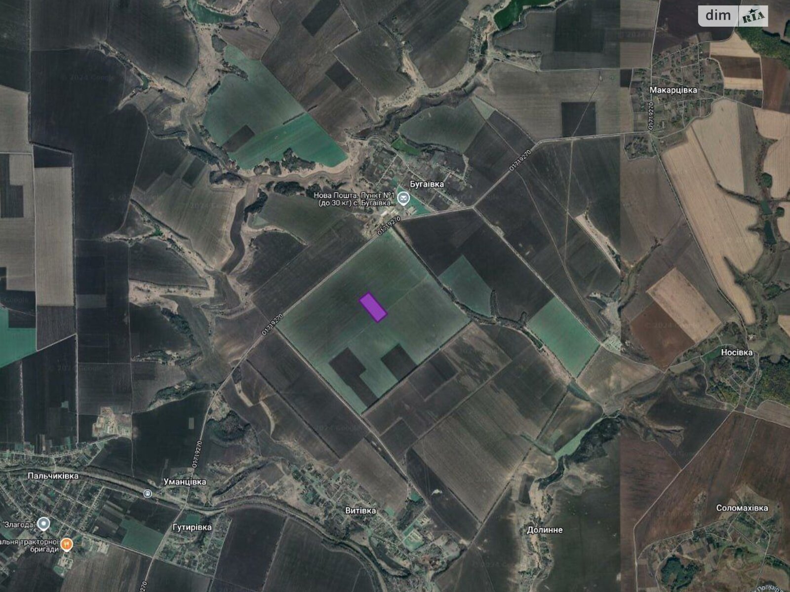 Земельный участок сельскохозяйственного назначения в Пальчиковке, площадь 4.9872 Га фото 1