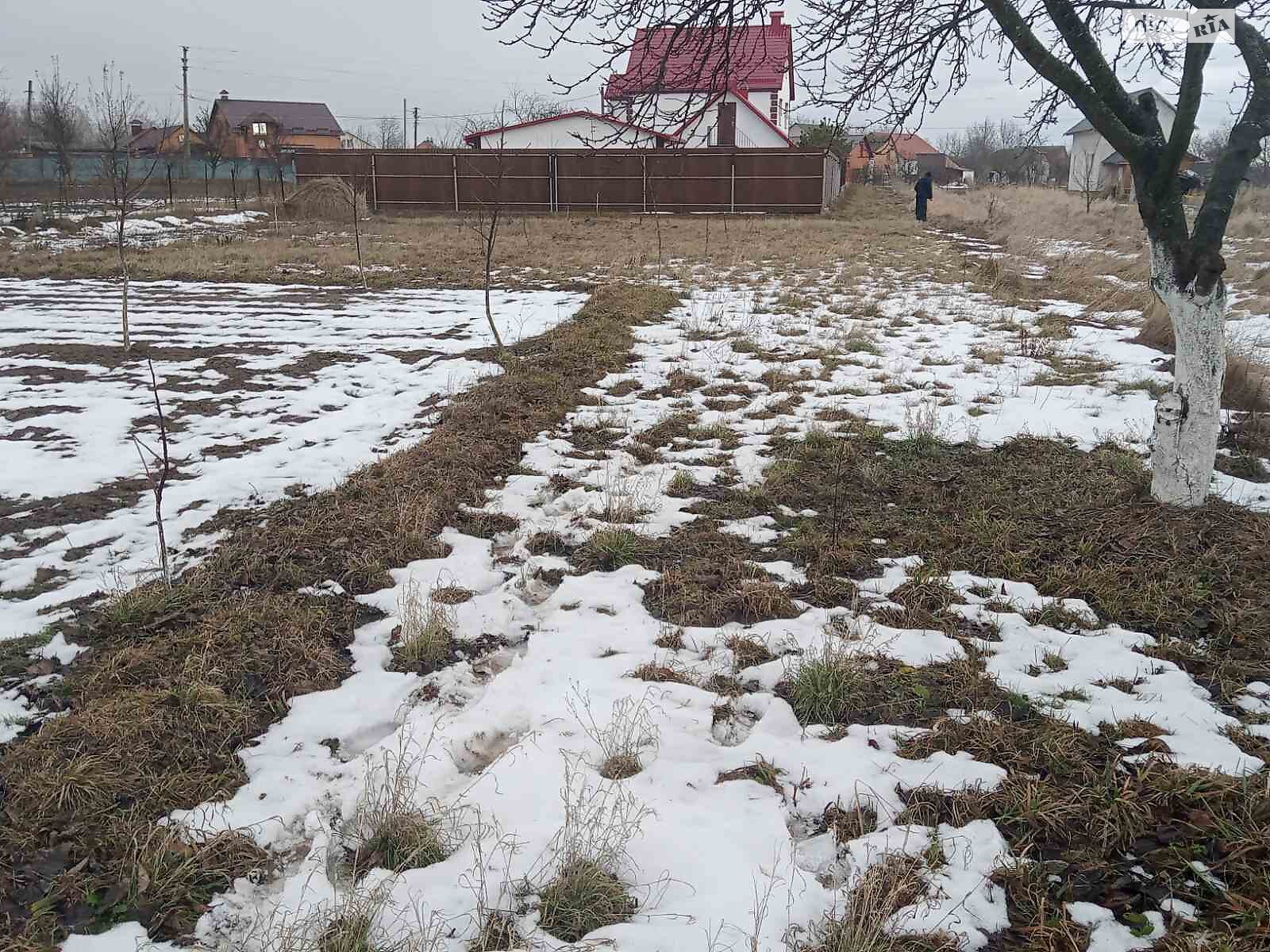 Земельна ділянка сільськогосподарського призначення в Парпурівцях, площа 10 соток фото 1