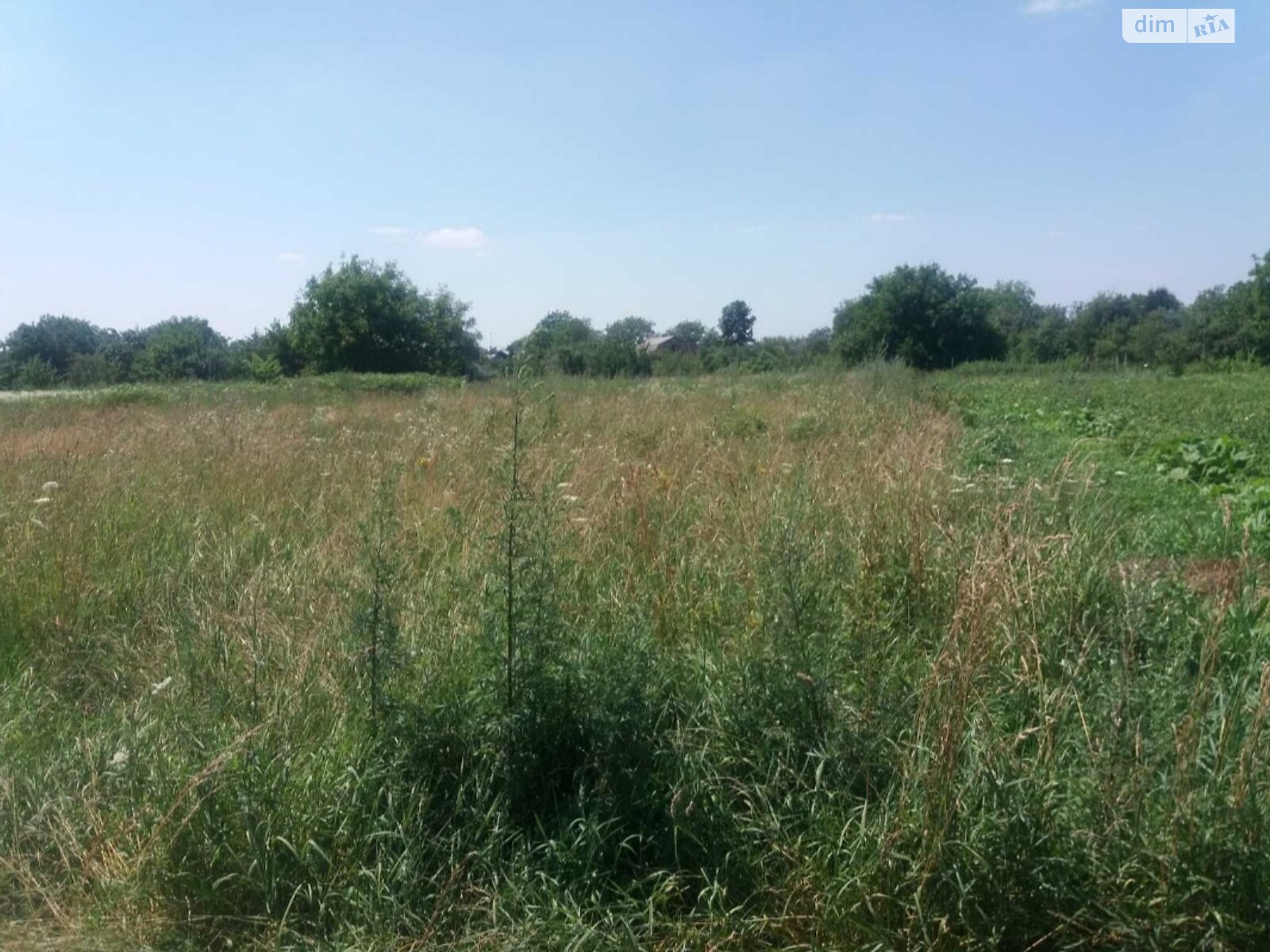 Земельный участок сельскохозяйственного назначения в Парпуровцах, площадь 28 соток фото 1