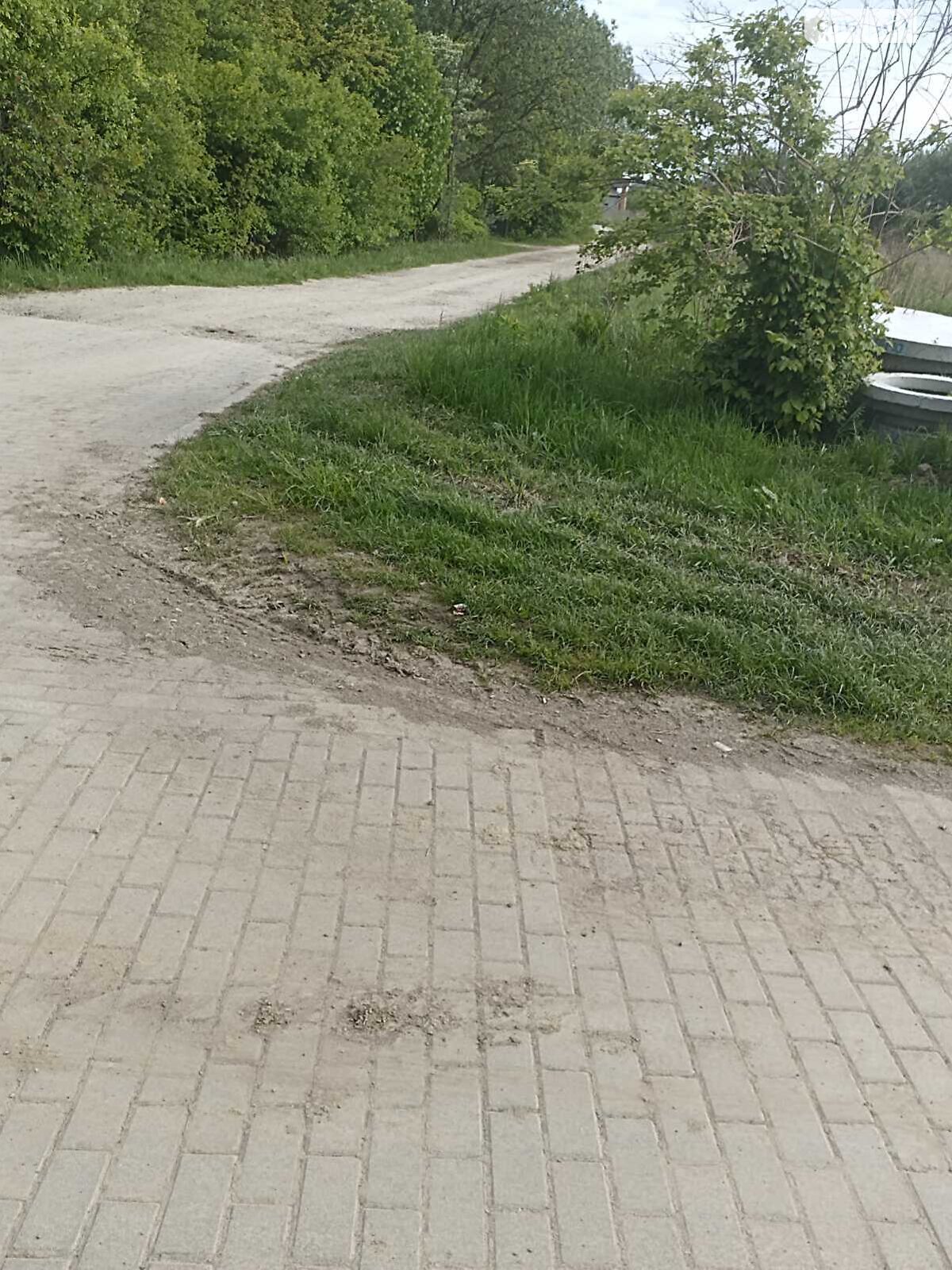 Земельна ділянка сільськогосподарського призначення в Пасіки-Зубрицькі, площа 16 соток фото 1 Земельна ділянка сільськогосподарського призначення в Пасіки-Зубрицькі, площа 16 соток фото 1