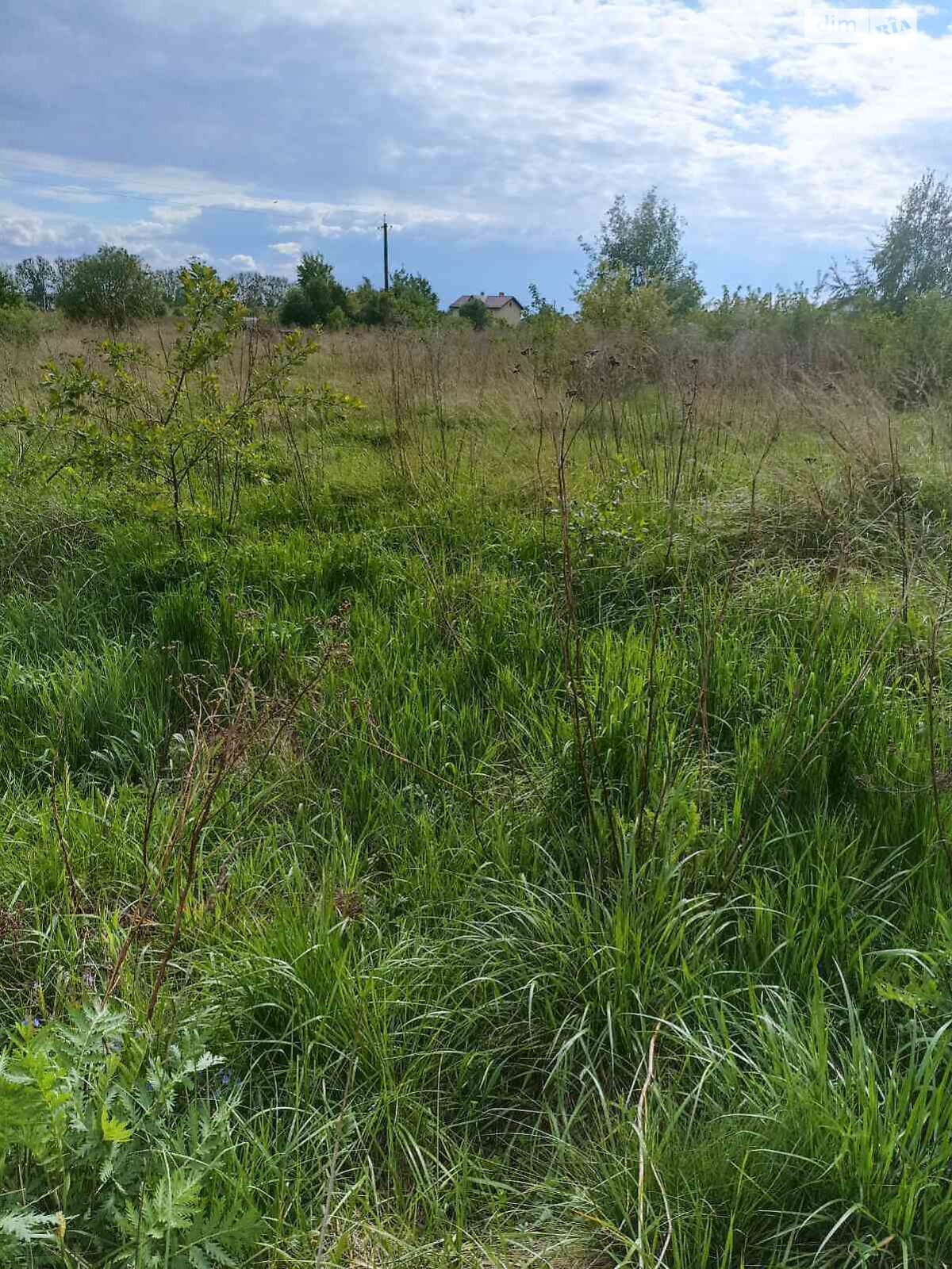 Земельна ділянка сільськогосподарського призначення в Пасіки-Зубрицькі, площа 16 соток фото 1 Земельна ділянка сільськогосподарського призначення в Пасіки-Зубрицькі, площа 16 соток фото 1