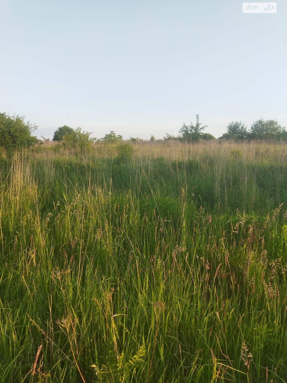 Земельный участок сельскохозяйственного назначения в Пасеки-Зубрицкие, площадь 10 соток фото 1