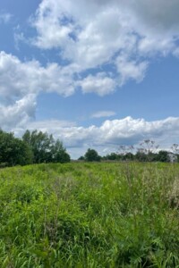 Земельна ділянка сільськогосподарського призначення в Пасіки-Зубрицькі, площа 24.5 сотки фото 1