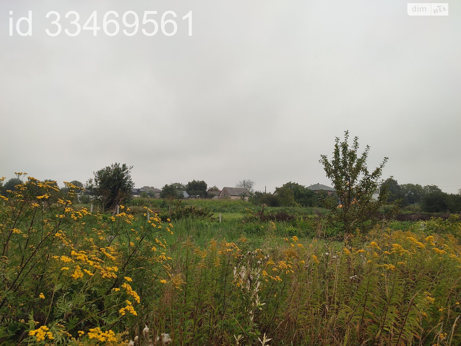 Земельный участок сельскохозяйственного назначения в Пасеки-Зубрицкие, площадь 24.64 сотки фото 1 Земельный участок сельскохозяйственного назначения в Пасеки-Зубрицкие, площадь 24.64 сотки фото 1