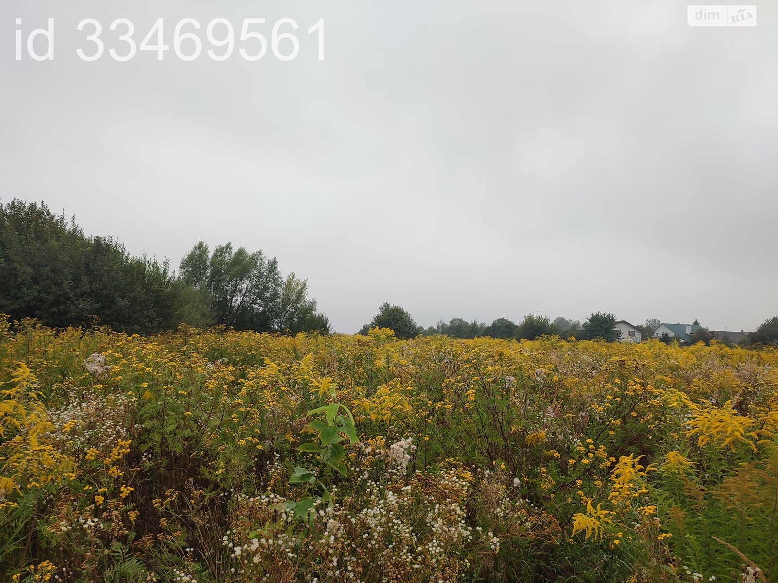 Земельный участок сельскохозяйственного назначения в Пасеки-Зубрицкие, площадь 24.64 сотки фото 1 Земельный участок сельскохозяйственного назначения в Пасеки-Зубрицкие, площадь 24.64 сотки фото 1