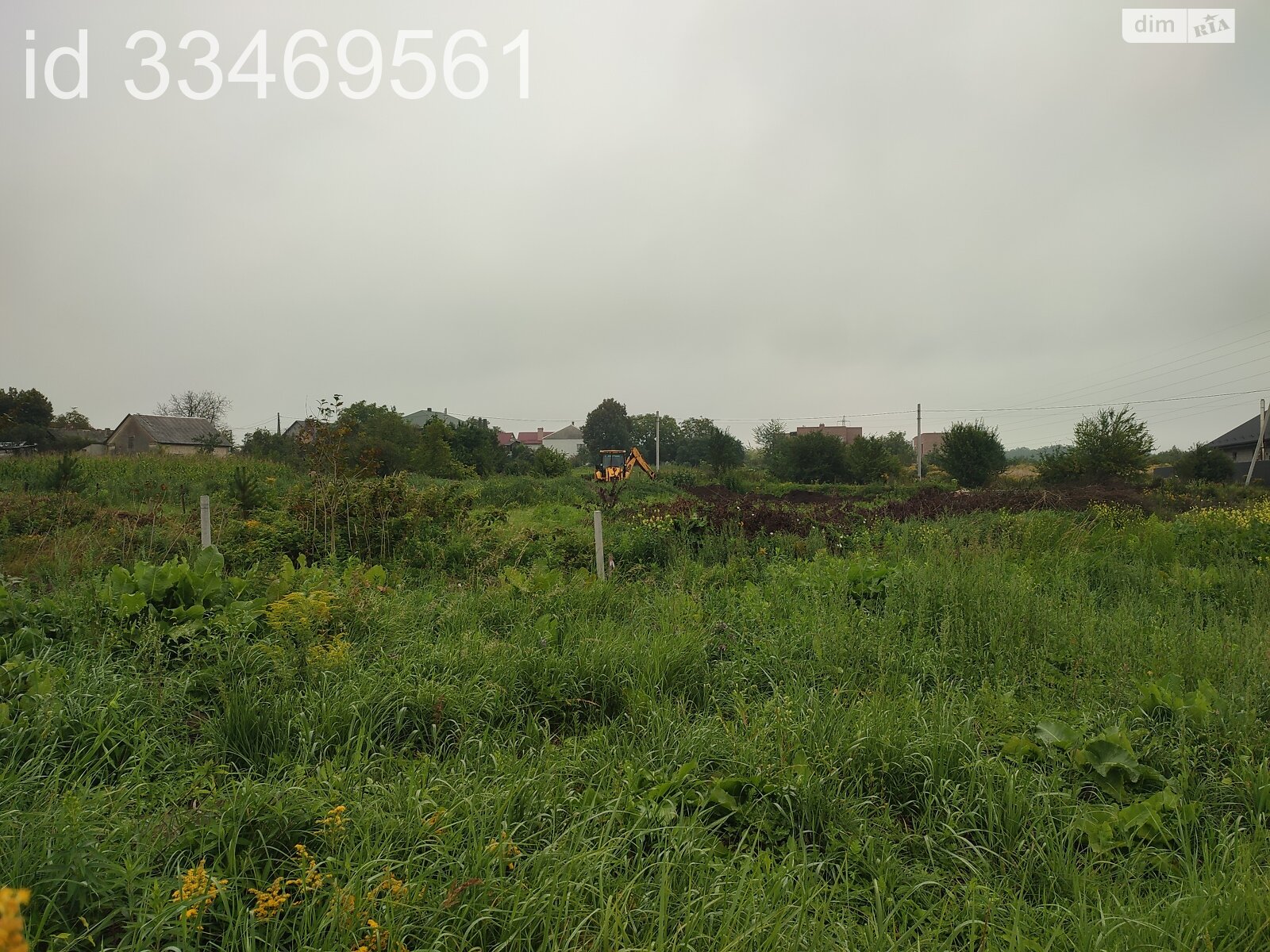 Земельный участок сельскохозяйственного назначения в Пасеки-Зубрицкие, площадь 24.64 сотки фото 1 Земельный участок сельскохозяйственного назначения в Пасеки-Зубрицкие, площадь 24.64 сотки фото 1