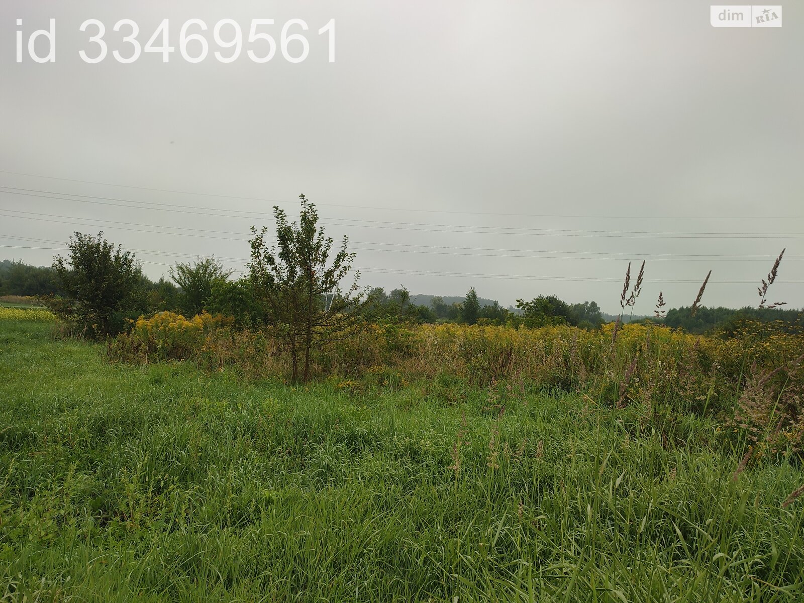 Земельный участок сельскохозяйственного назначения в Пасеки-Зубрицкие, площадь 24.64 сотки фото 1 Земельный участок сельскохозяйственного назначения в Пасеки-Зубрицкие, площадь 24.64 сотки фото 1